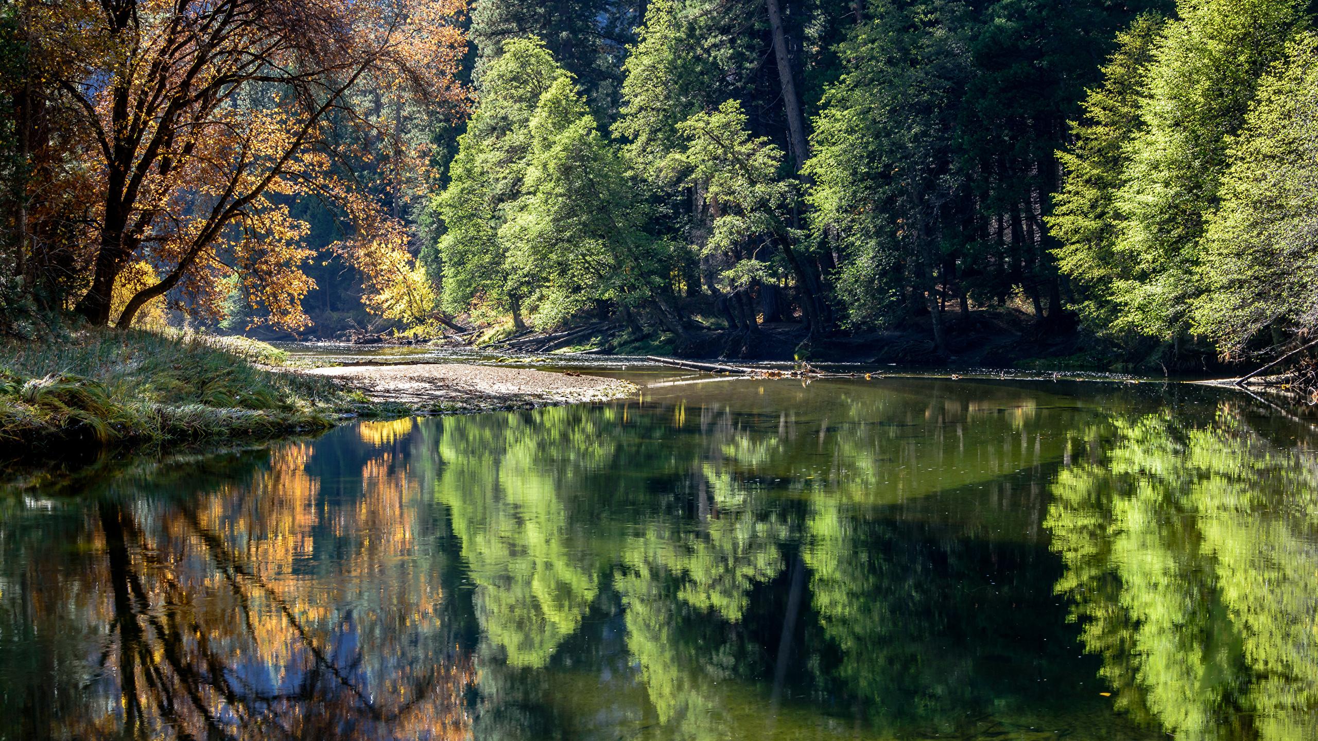 Image Yosemite USA Nature Lake Parks reflected Trees 2560x1440