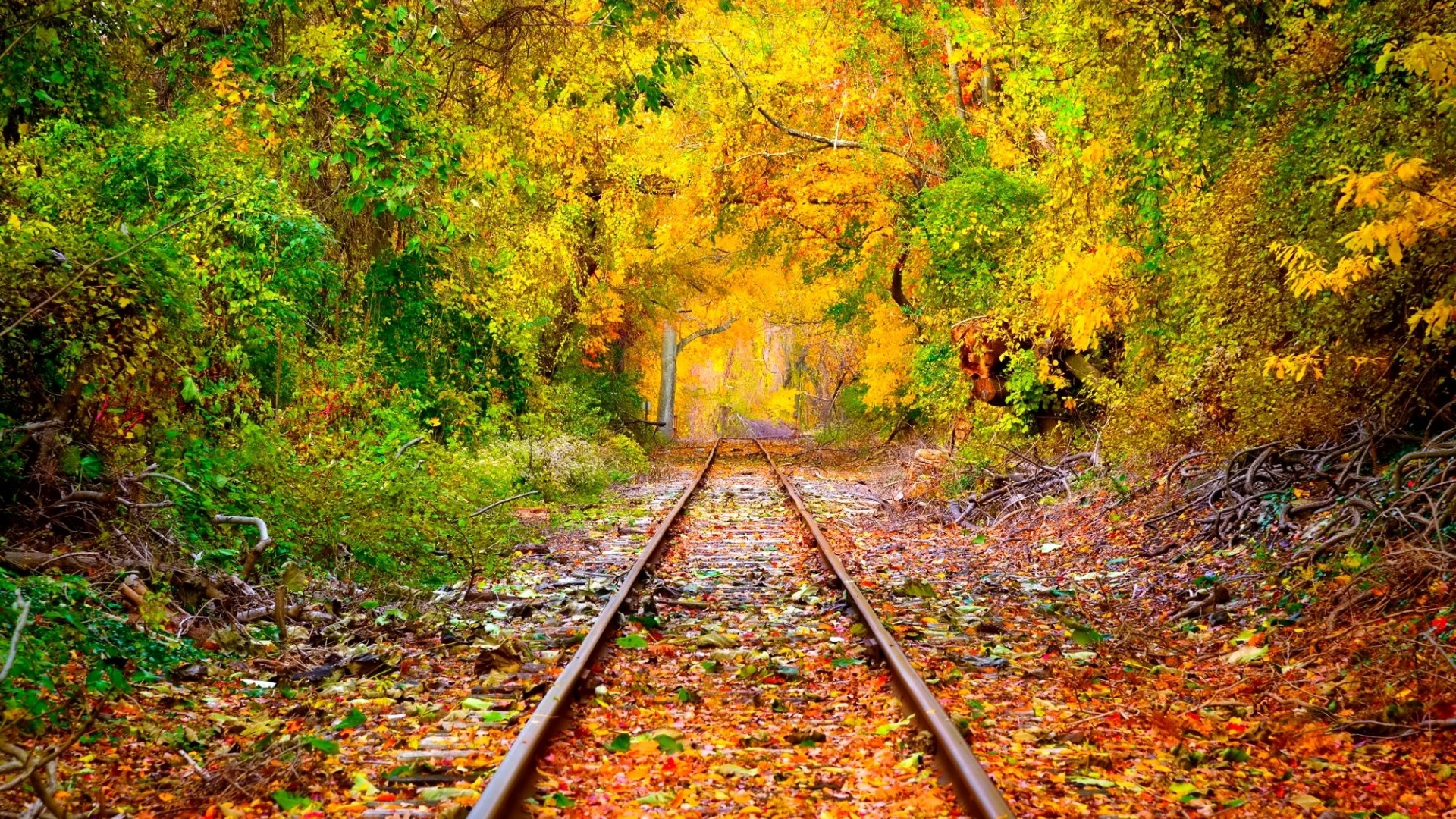 Download Wallpaper Early autumn in an abandoned railway