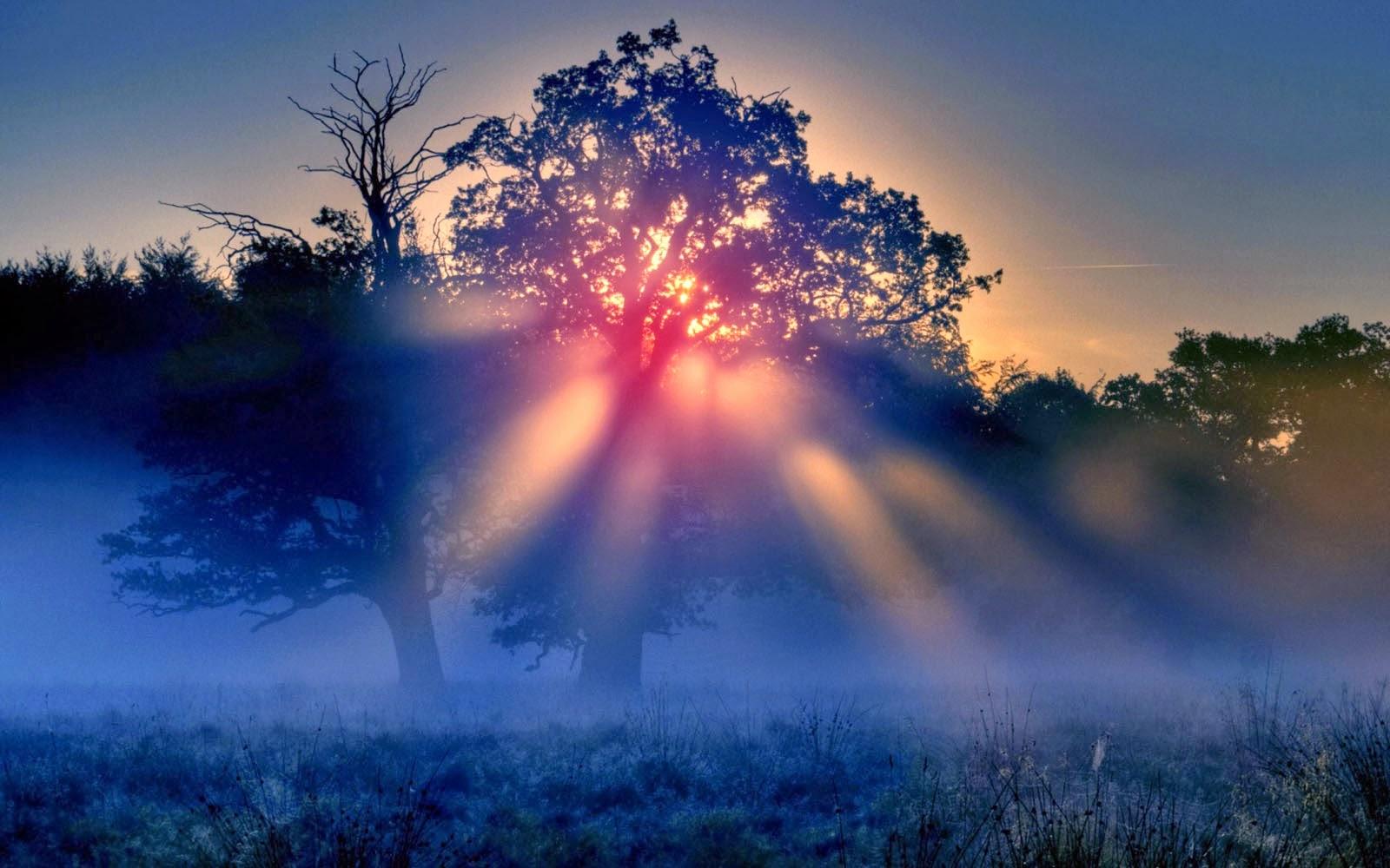 Fantasy Wallpaper: Sunbeam Wallpaper