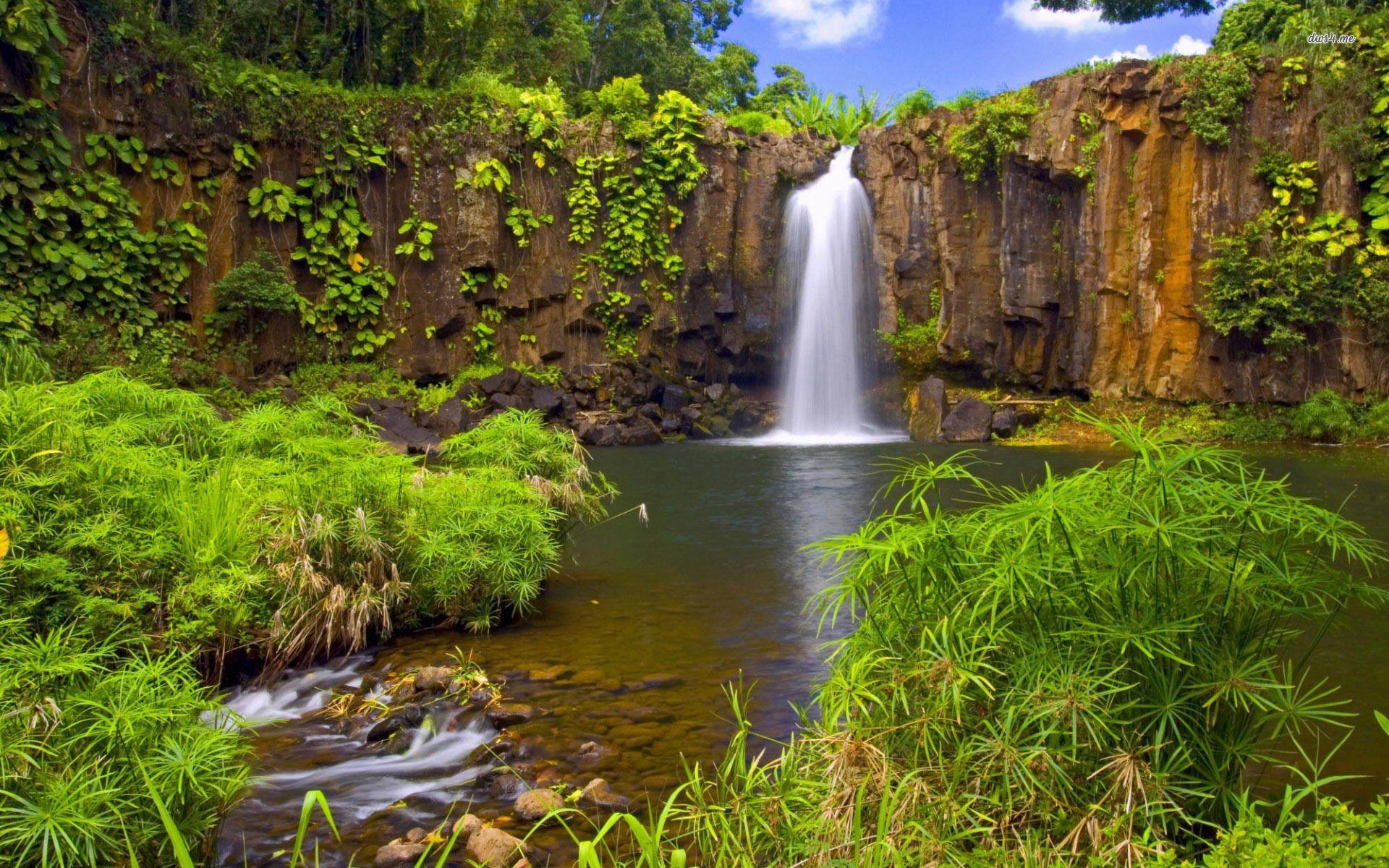 Jungle Waterfall Wallpaper Download