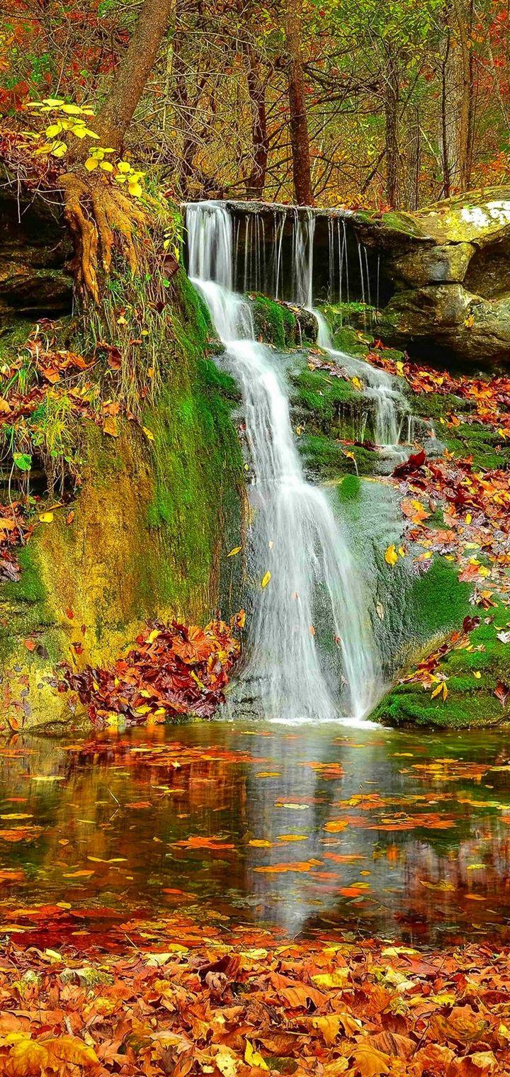 Waterfall Autumn Lovely Stream Wallpaper - [720x1520]