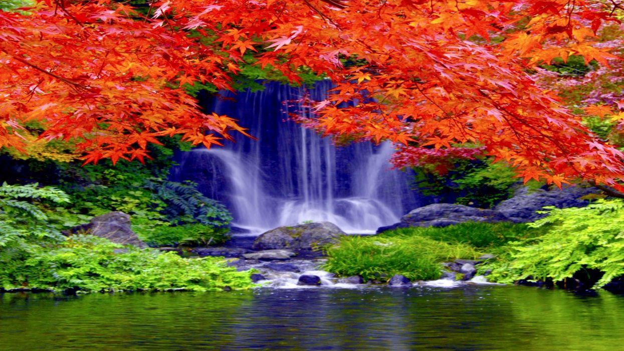 Waterfall Forest Falls Nature Waterfalls Autumn Wallpaperx1620