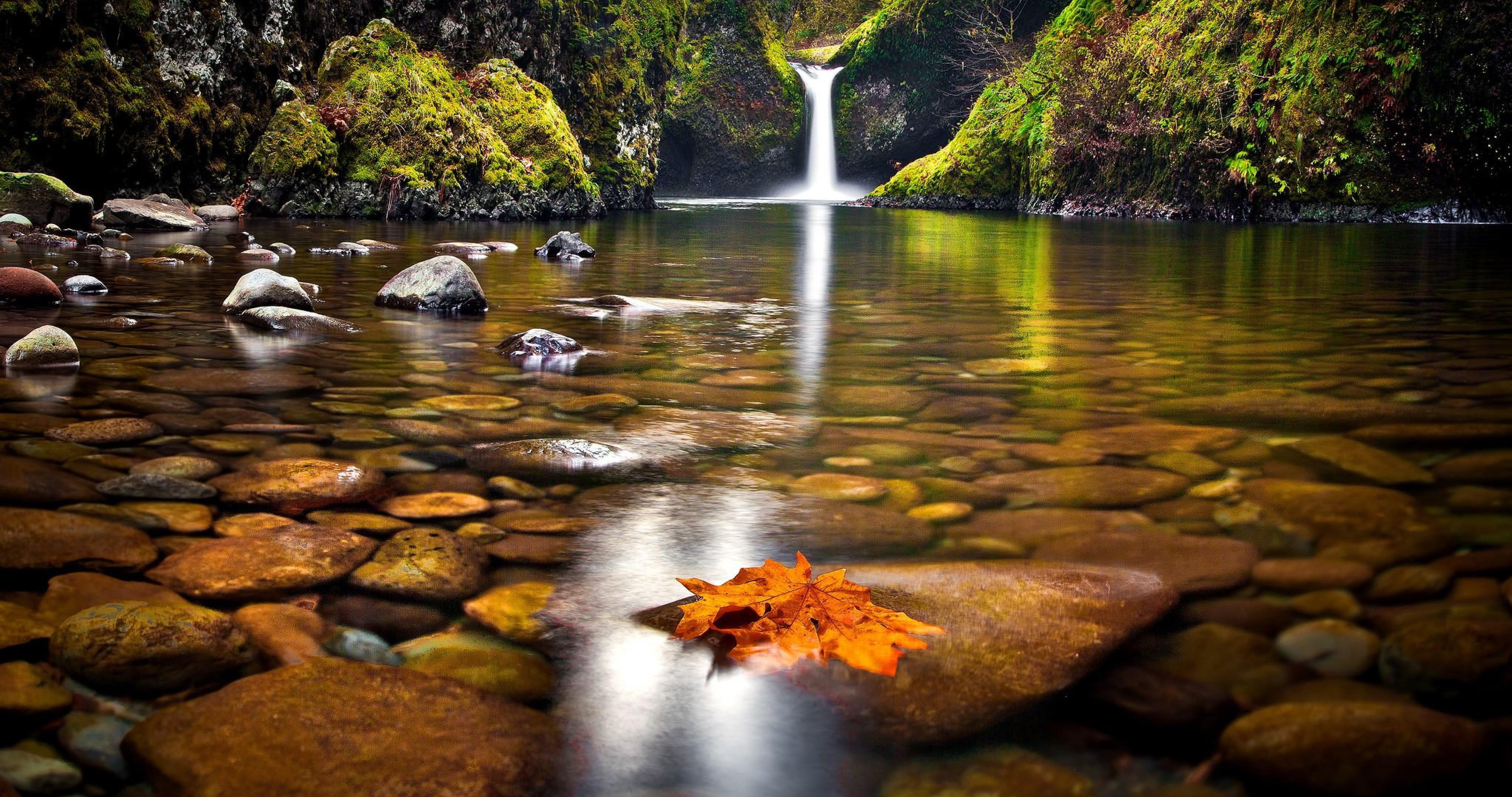 Autumn Waterfalls Free Desktop Wallpaper - vrogue.co