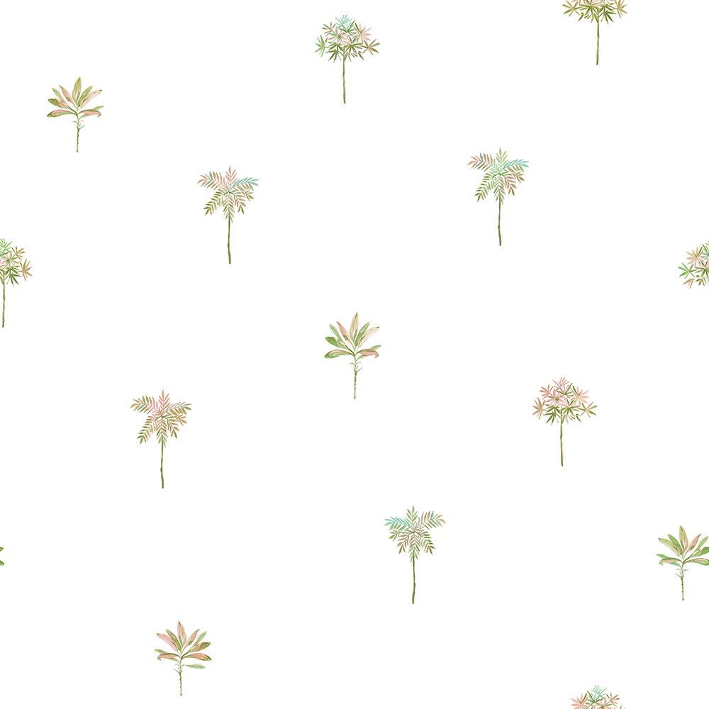 Palmetto Wallpapers - Wallpaper Cave