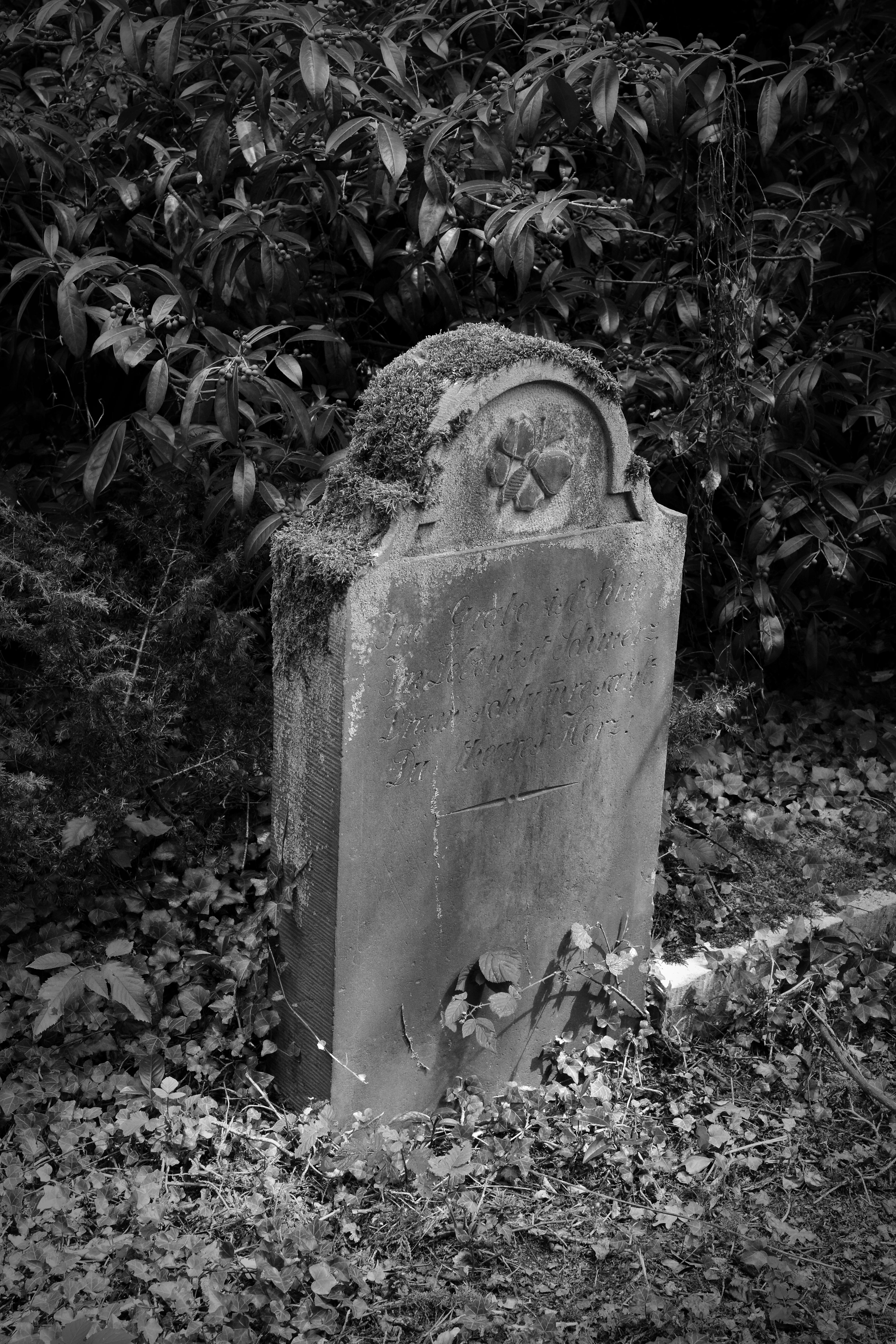 gray gravestone free image