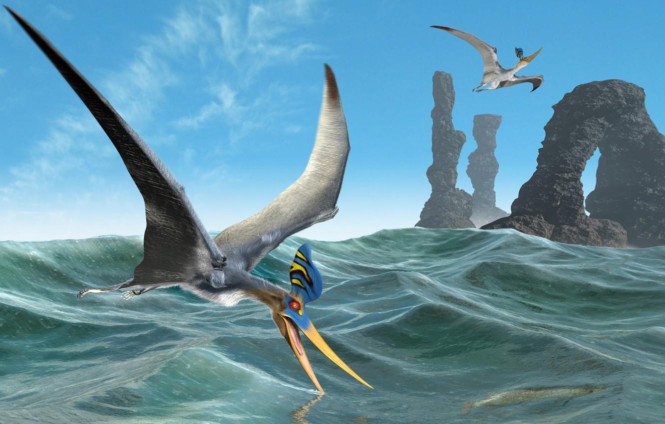 Wallpaper sea, flight, rocks, bird, arch, pterodactyl image