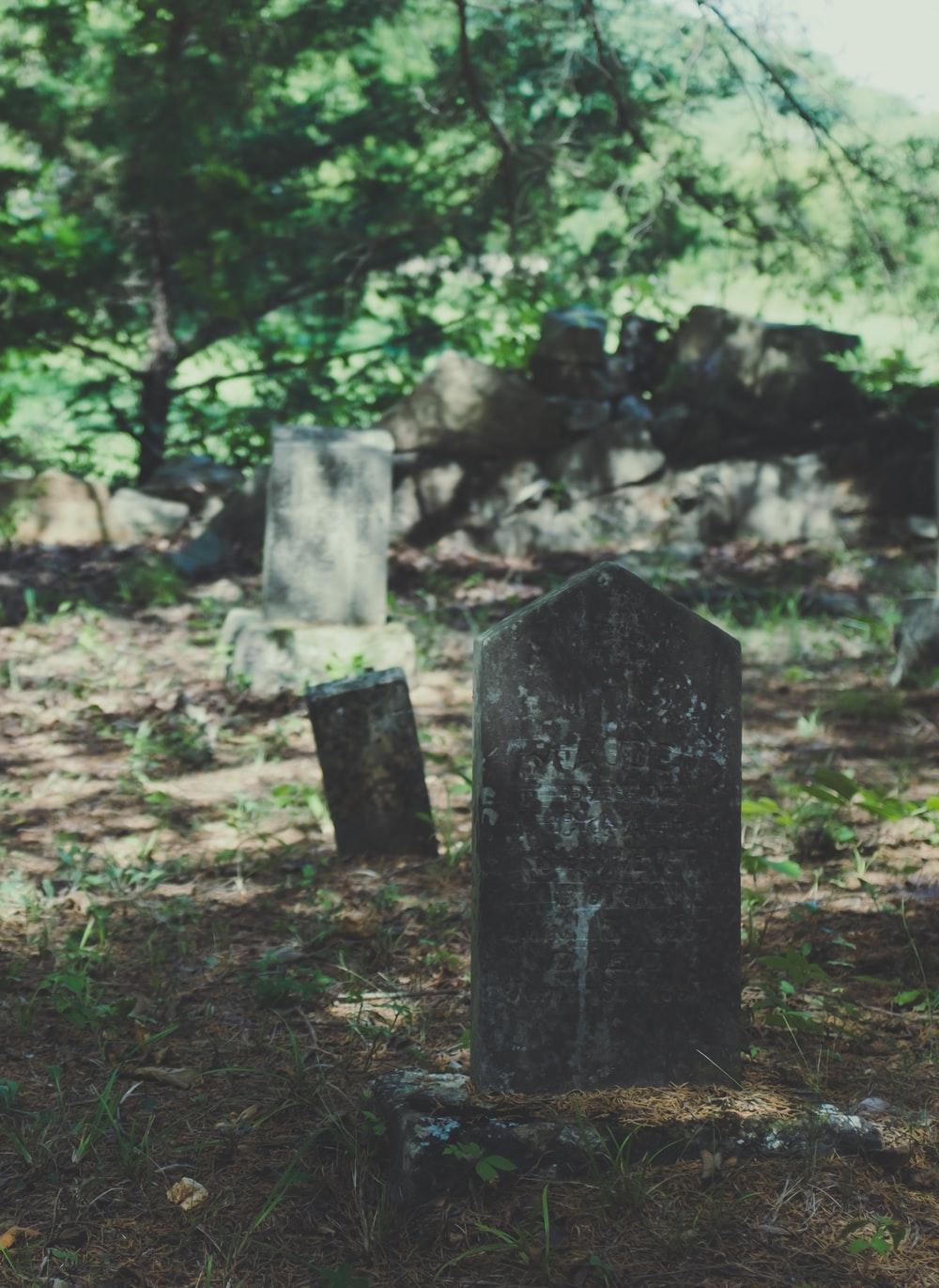 Tomb, tombstone, halloween and grave. HD photo