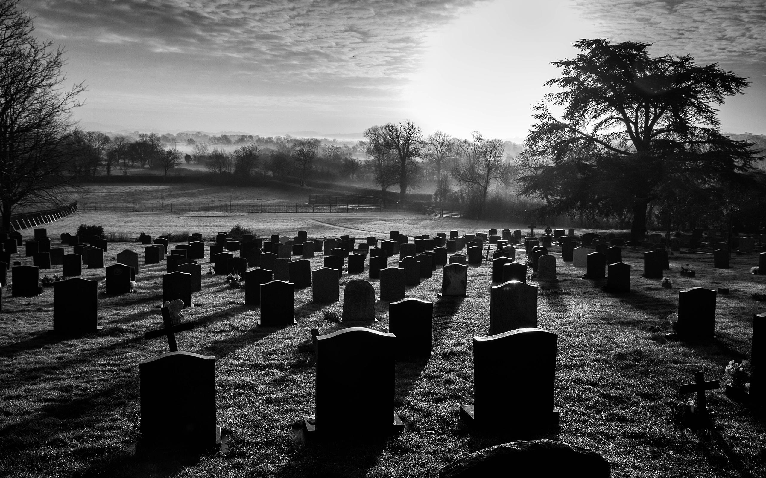 Cemetery BW Tombstones Graveyard Trees HD wallpaper. nature