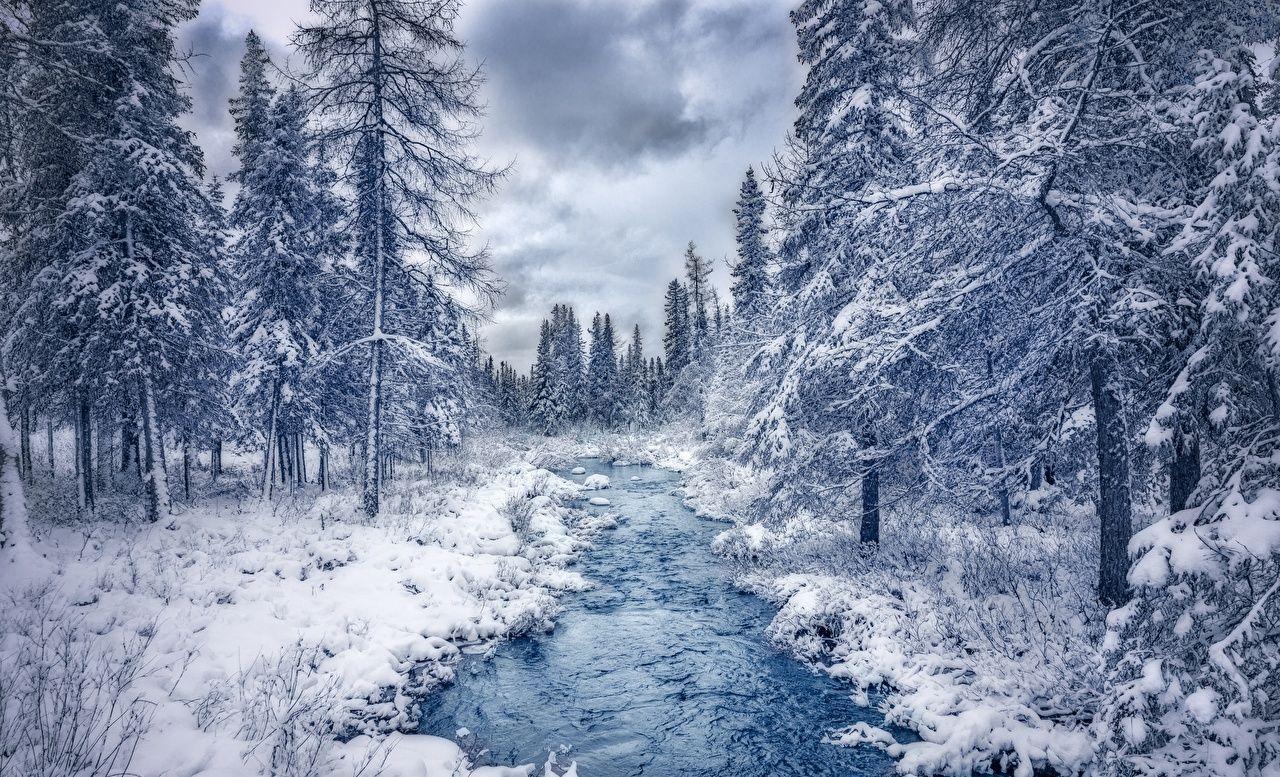 Wallpaper Canada Quebec Nature Stream Winter Forests Trees