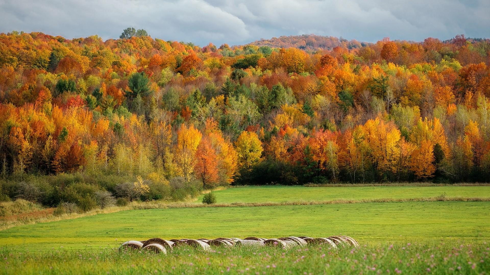 Autumn Landscape Reflection on Lake, Quebec, Canada