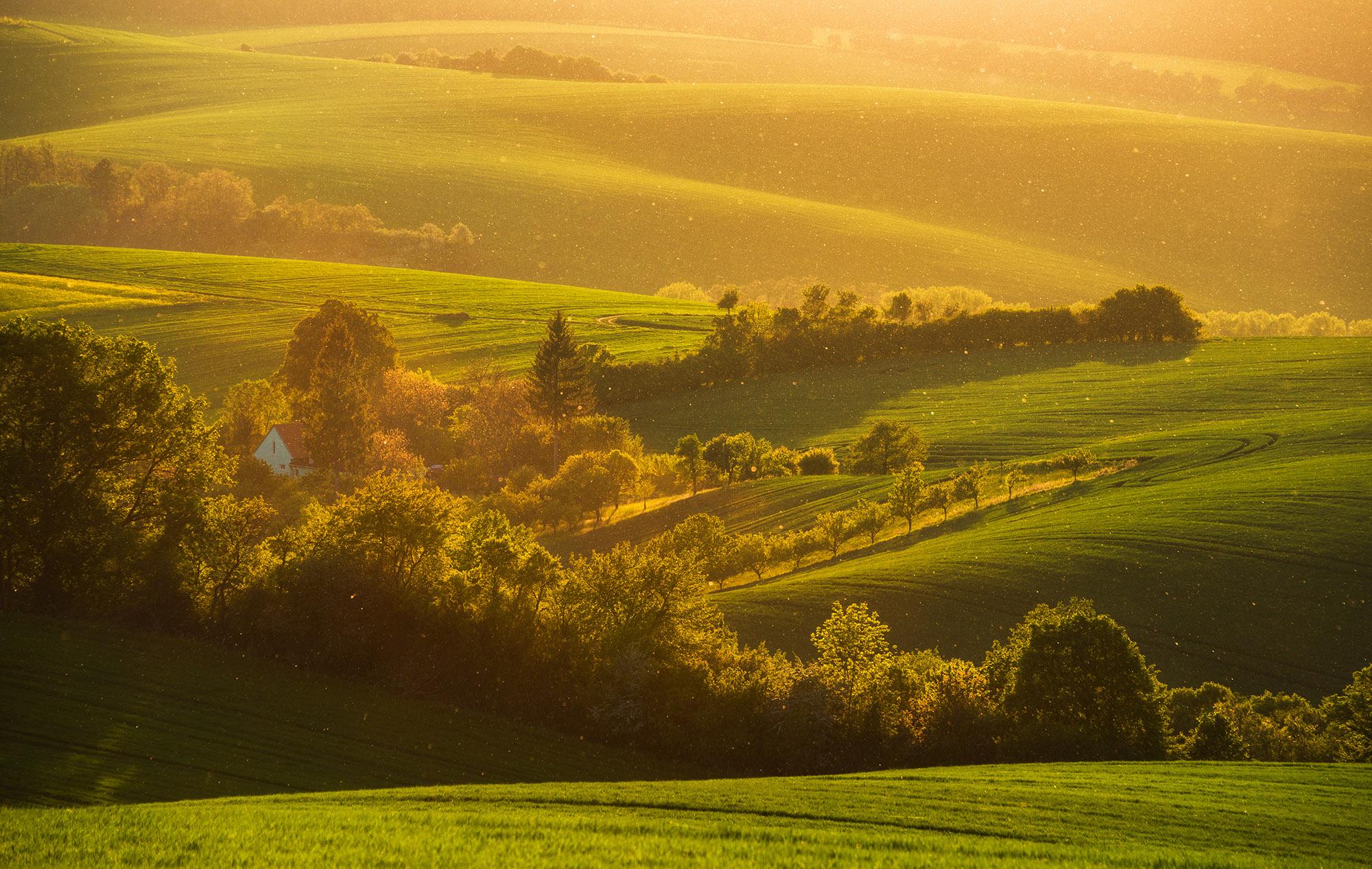 Magical sunset in South Moravia