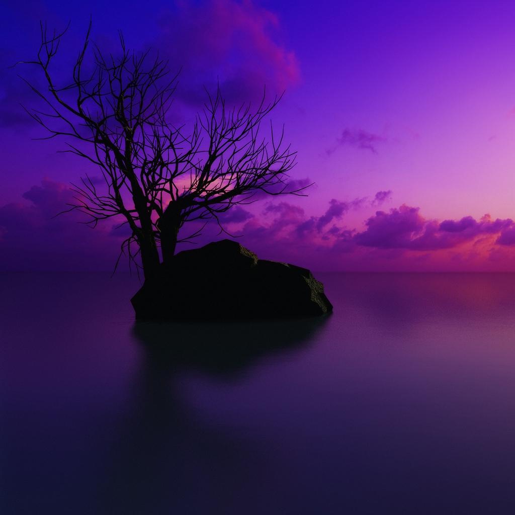 Maldivian Sunset. iPad Wallpaper free iPad