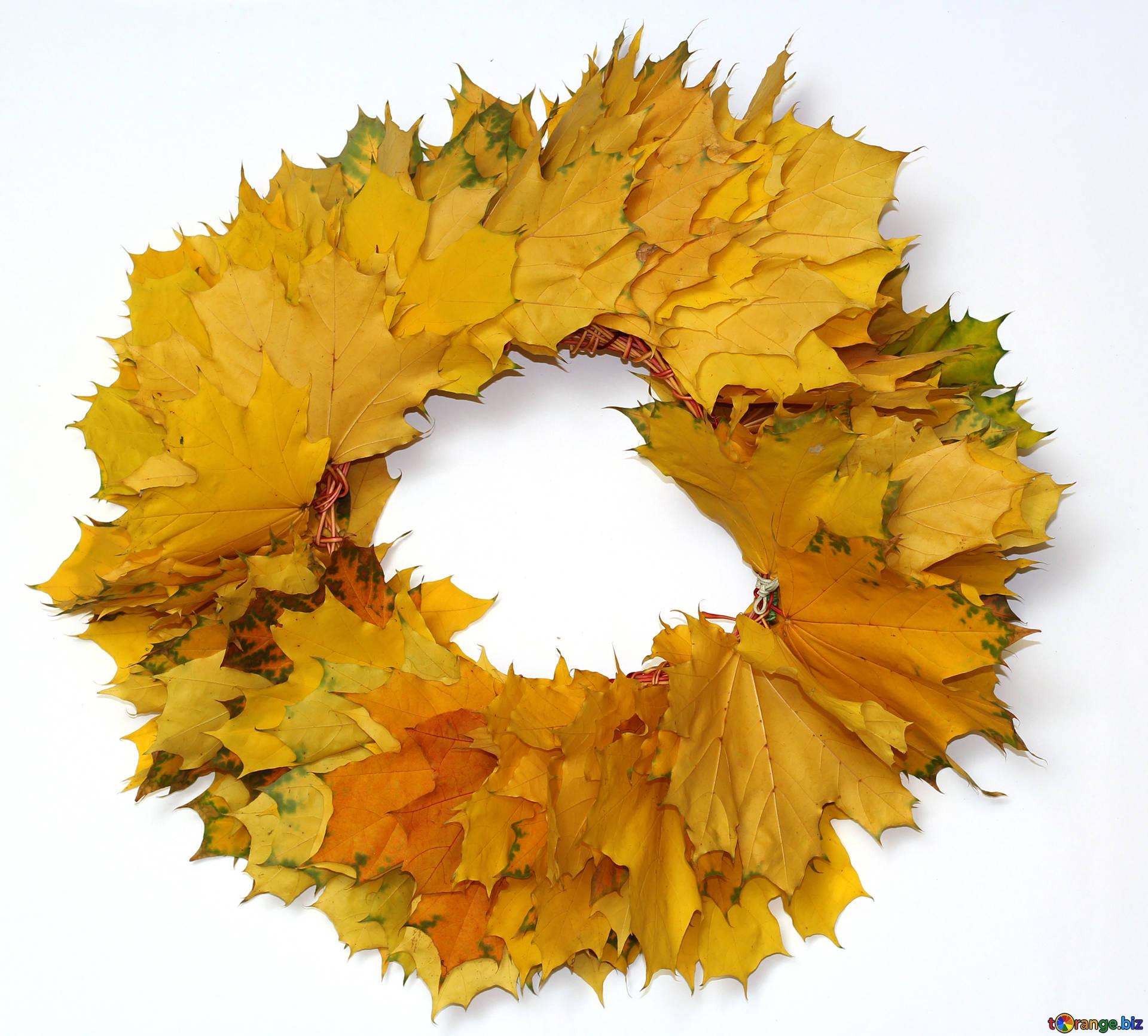Frames for text and photo autumn wreath frame leaves № 40866