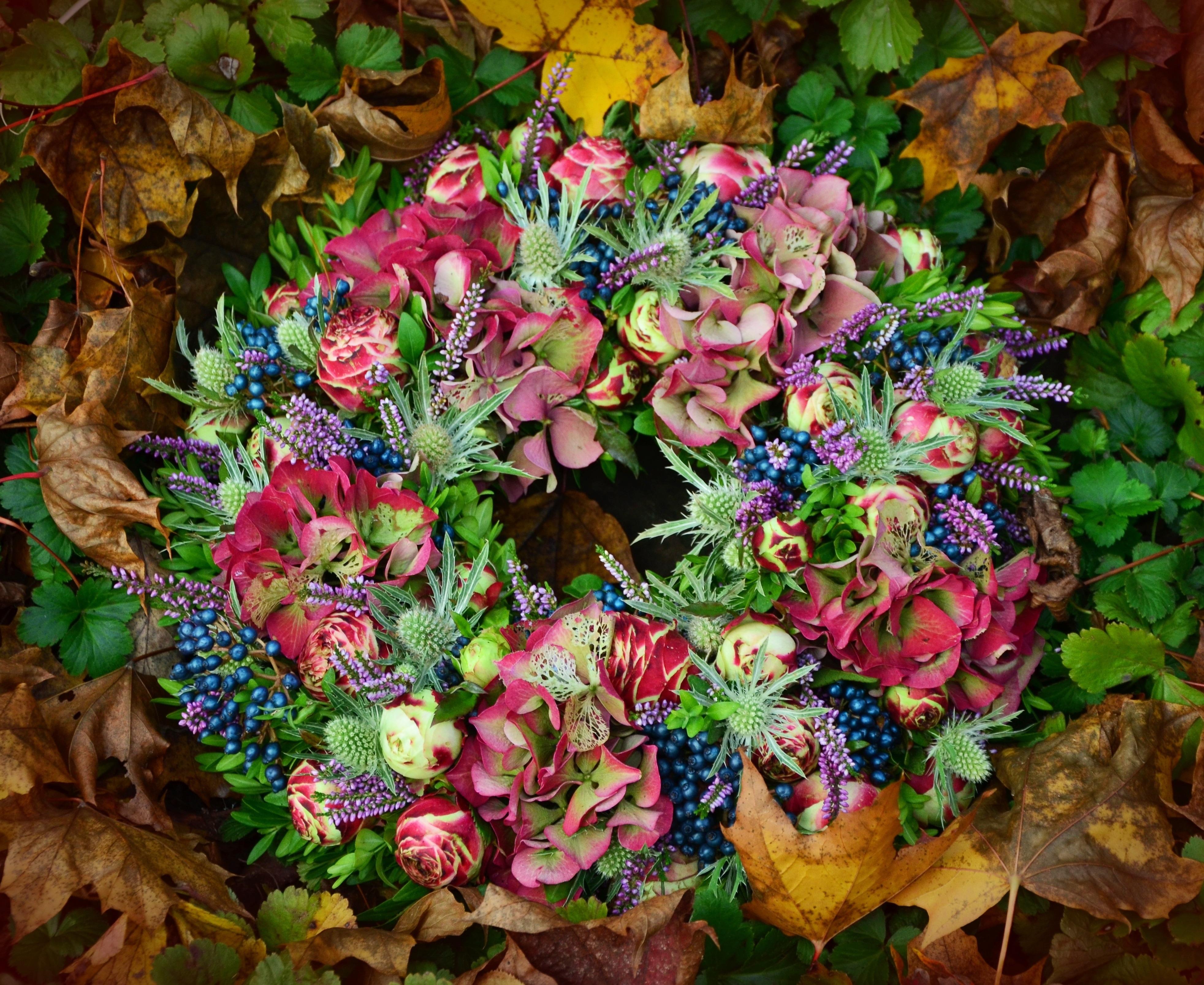 green purple blue and pink flower wreath free image