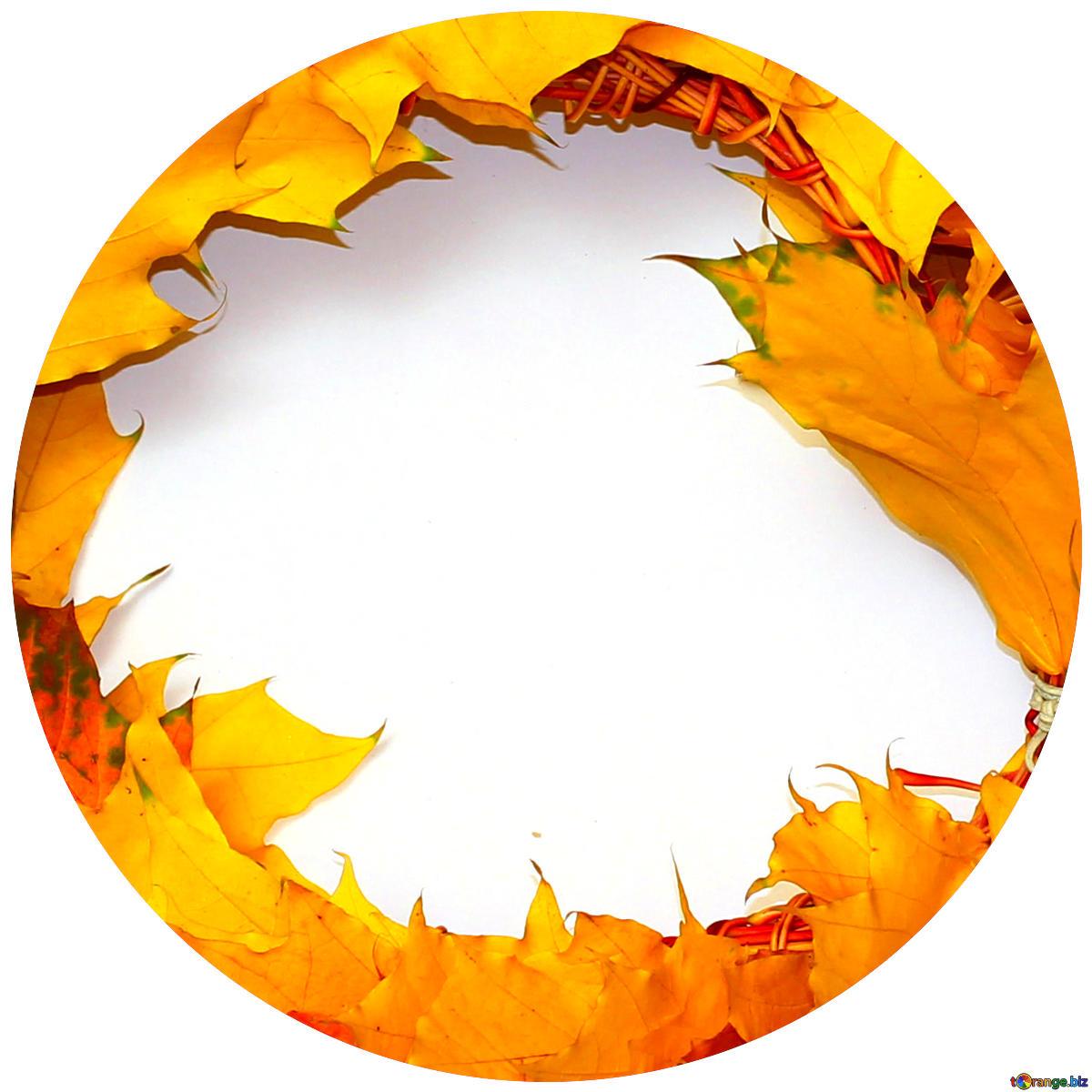 Download Free Picture Autumn Wreath Circle Frame On CC BY