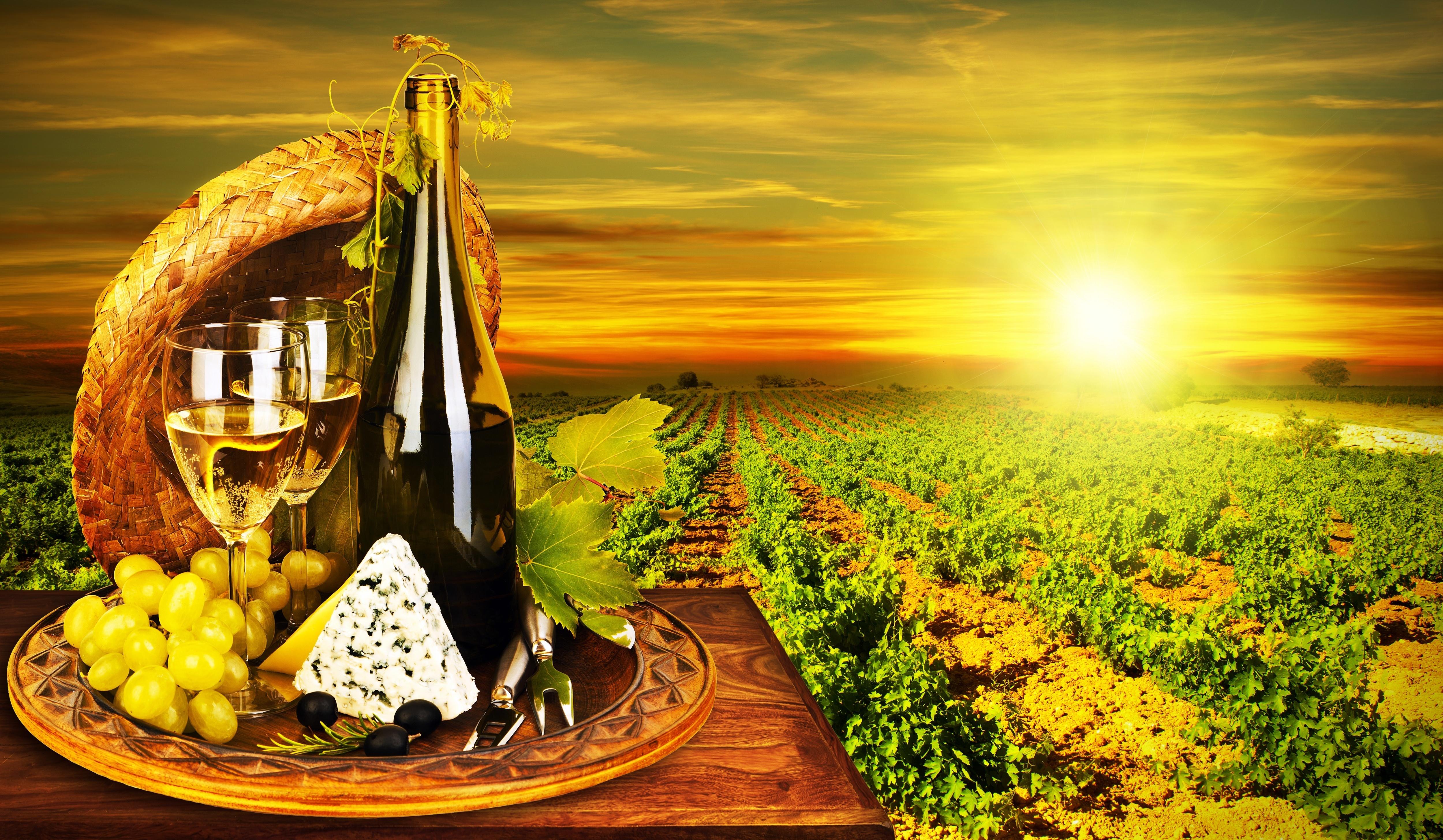 Vineyard HD Wallpaper and Background Image