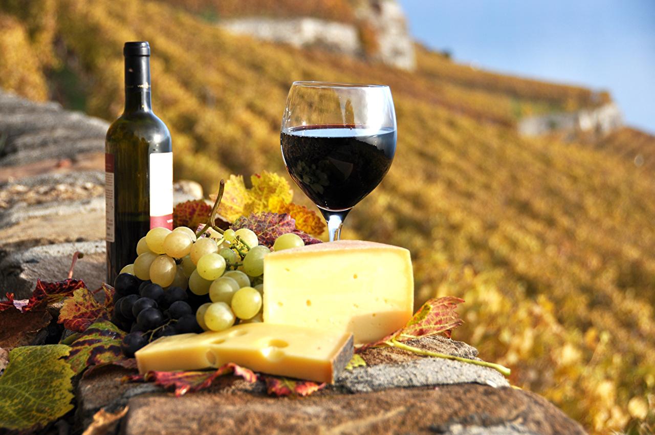 Wine And Cheese Wallpapers Wallpaper Cave