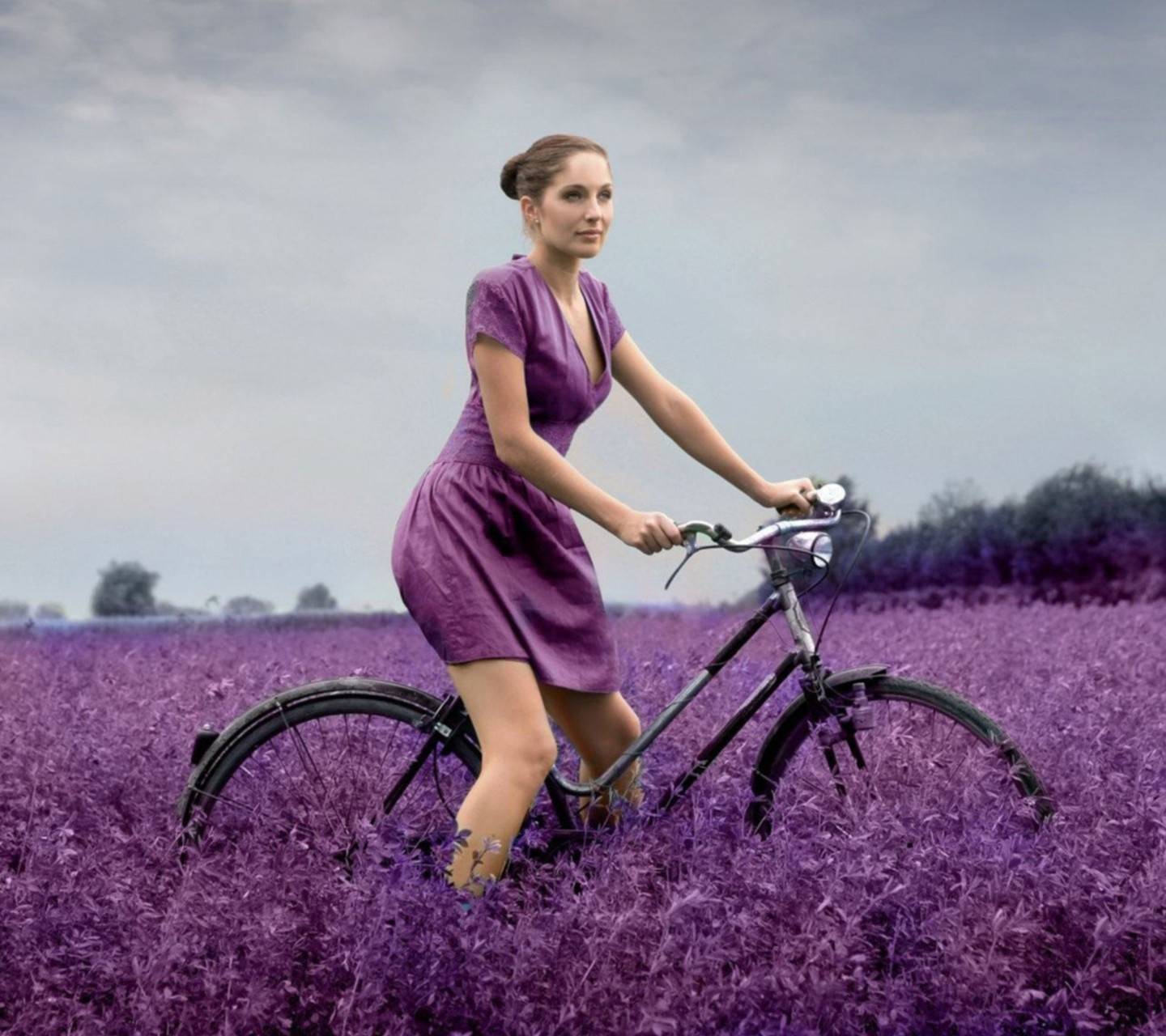 Lady Purple Field Wallpaper