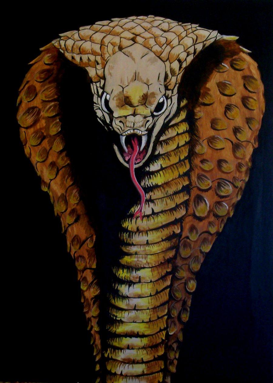 Cobras Wallpapers - Wallpaper Cave