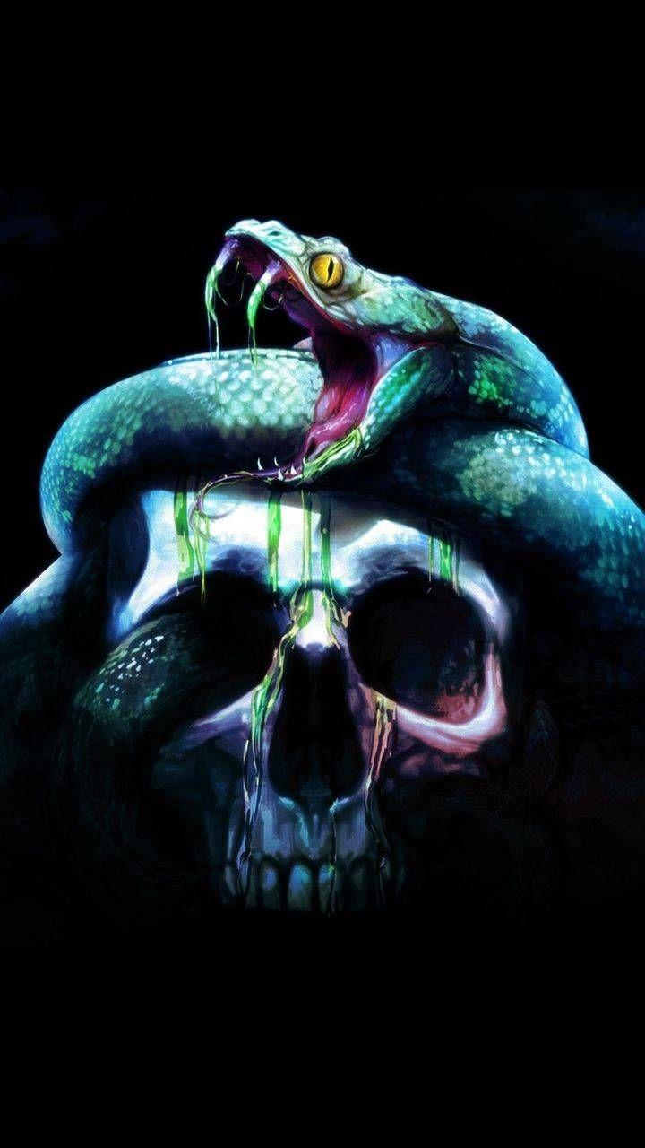 Download snake skull Wallpaper