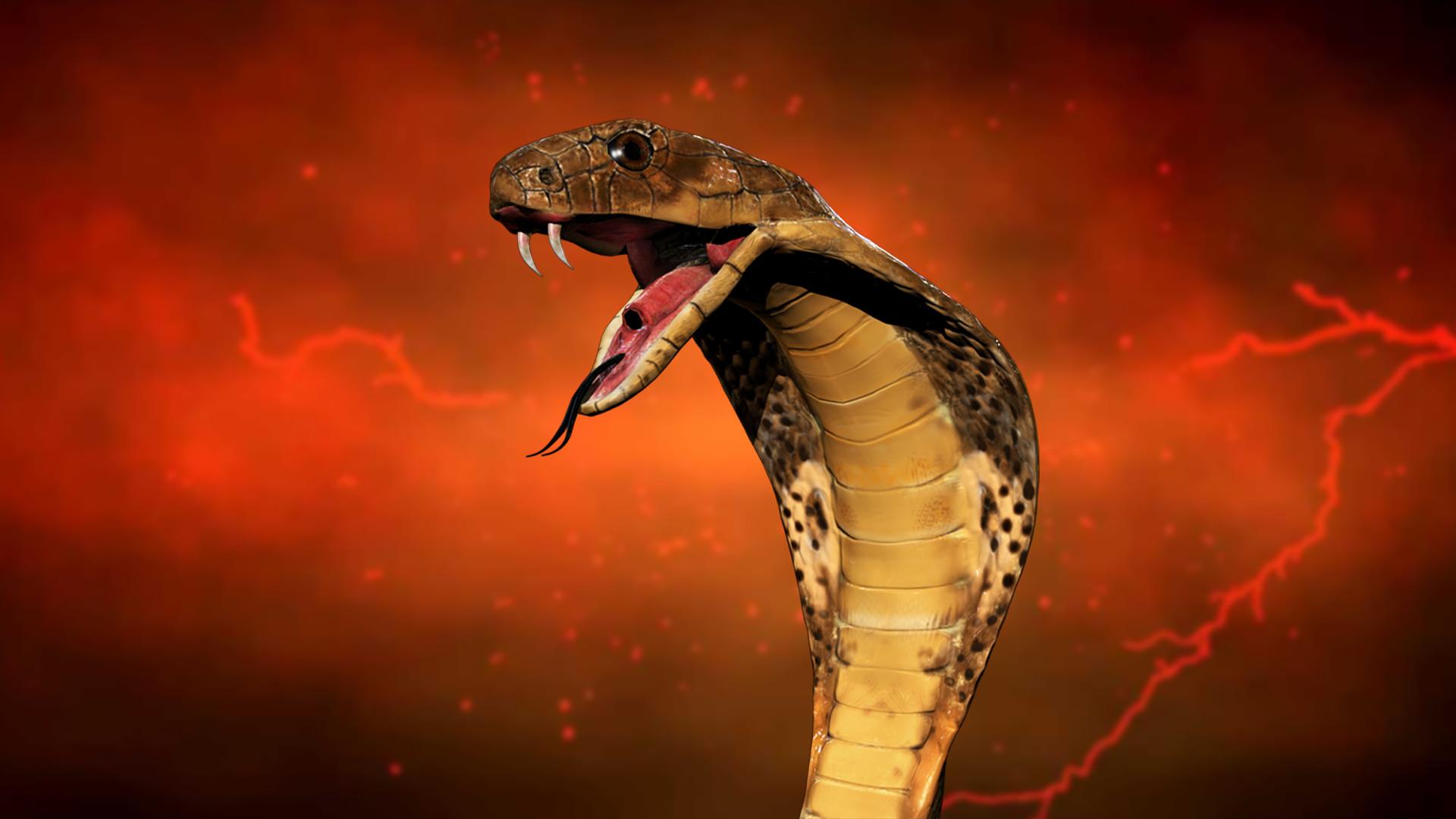 3D King Cobra Snake Wallpaper, image collections