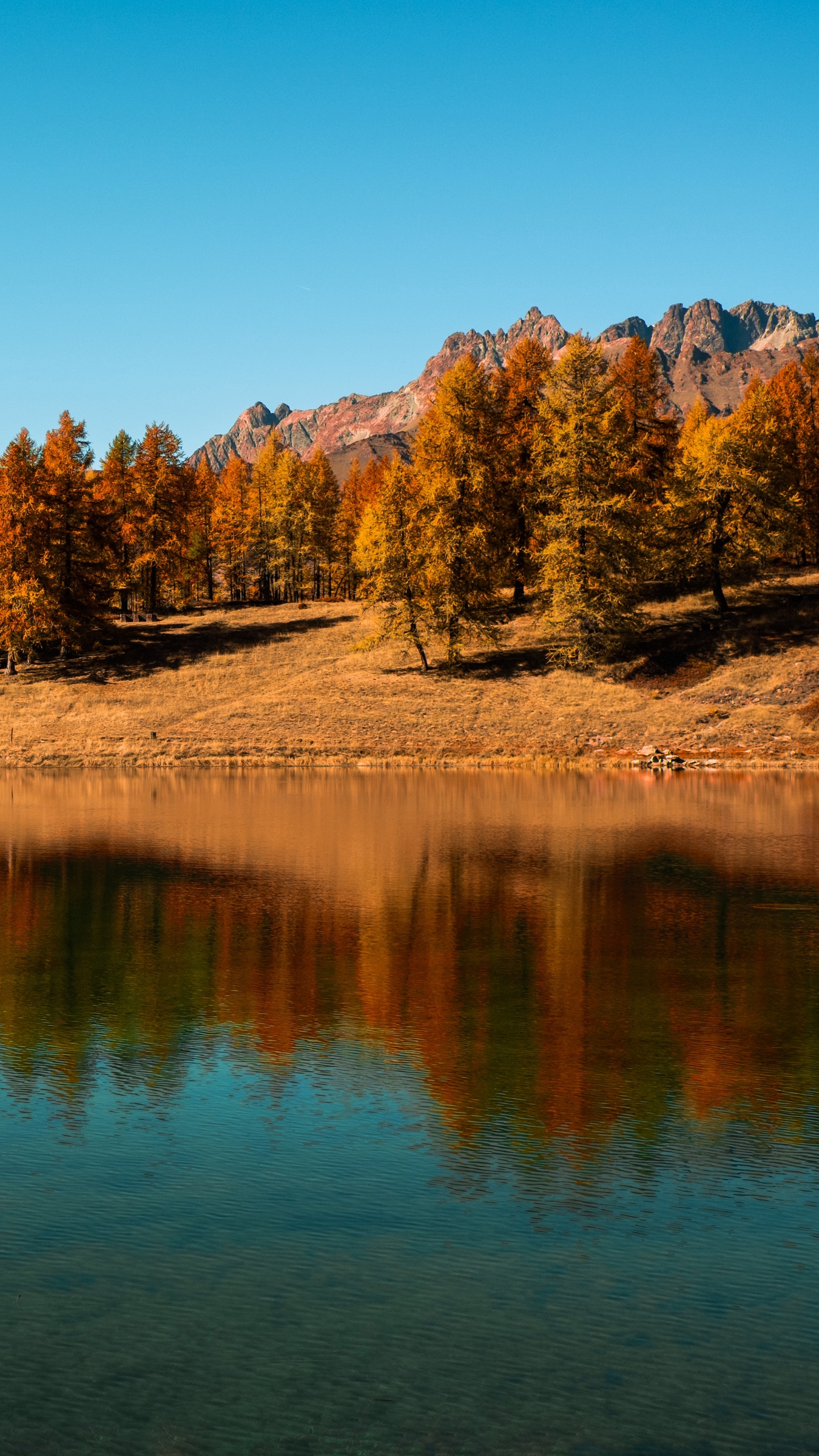 Download wallpaper 1350x2400 trees, lake, autumn, reflection