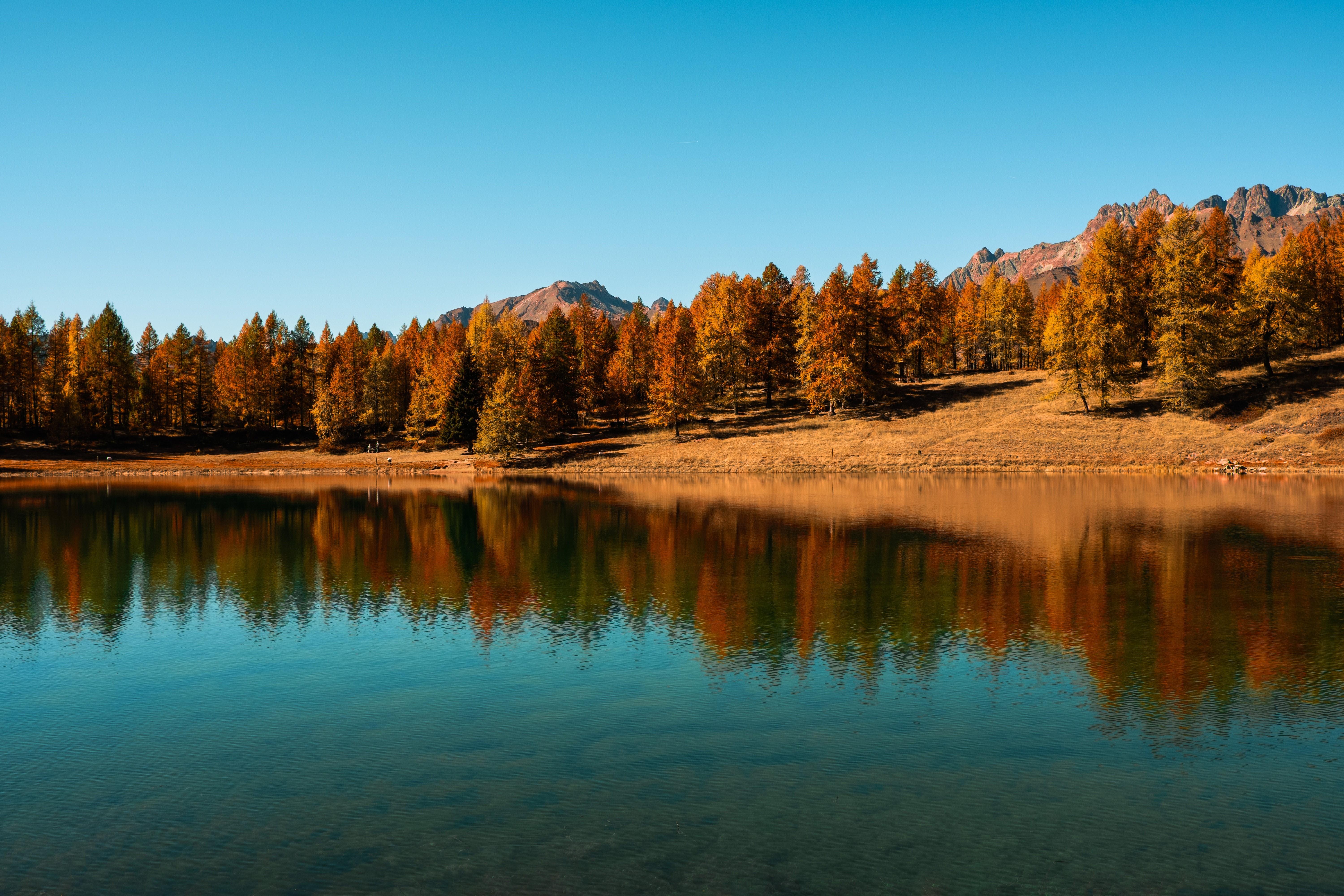 Trees, Lake, Autumn, Reflection wallpaper