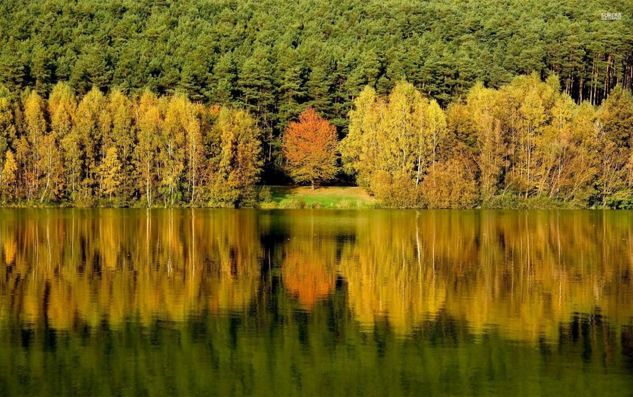 Autumn Forest Lake Reflection wallpaper. Autumn Forest