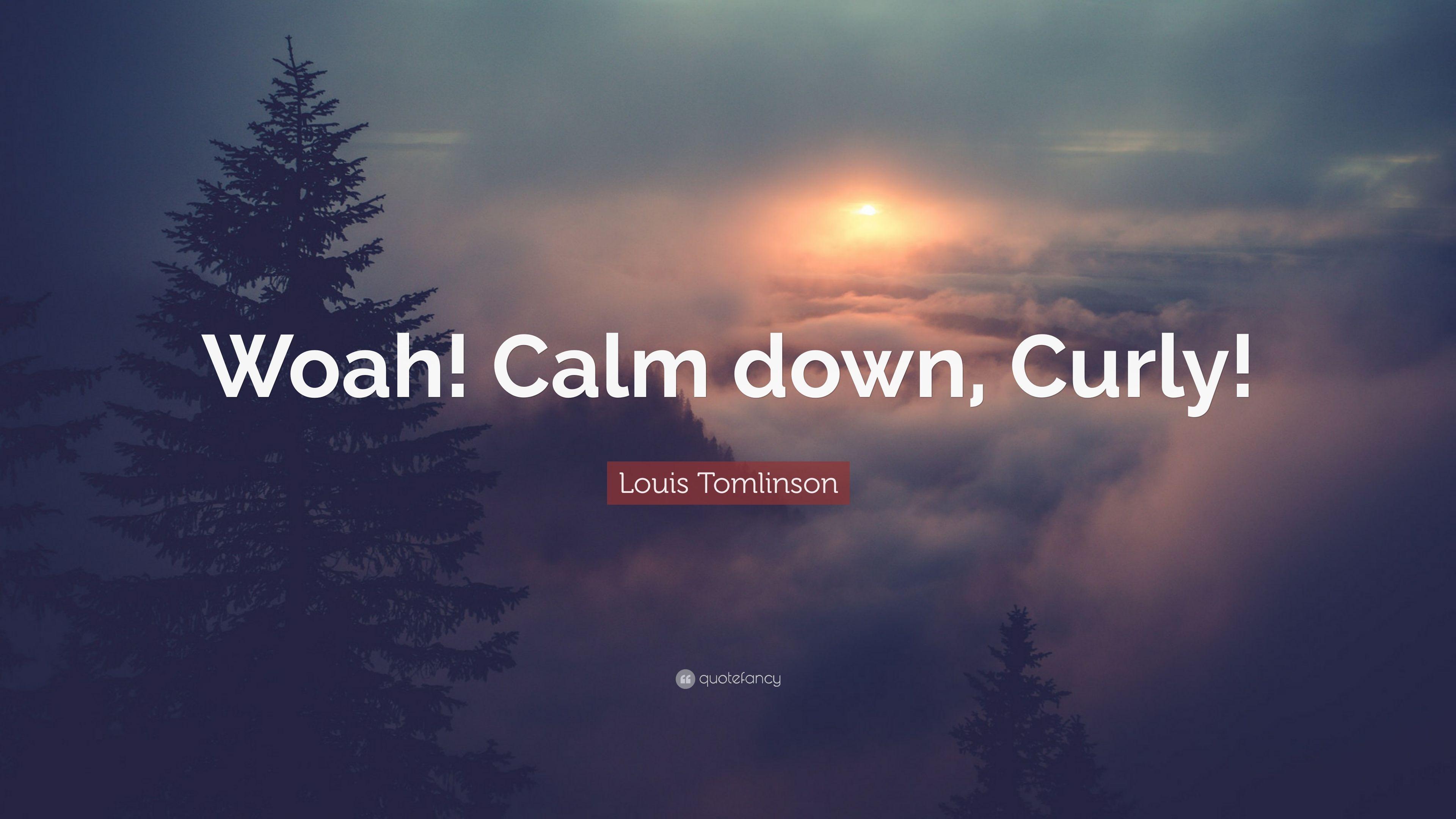 Louis Tomlinson Quote: “Woah! Calm down, Curly!” 7