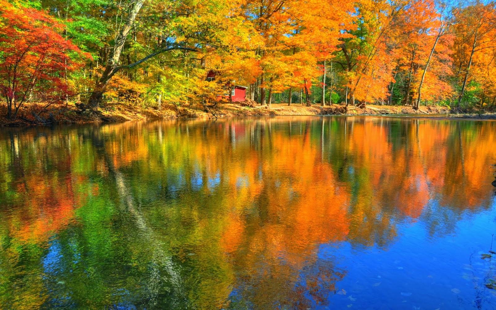 Peaceful HD Wallpaper 8