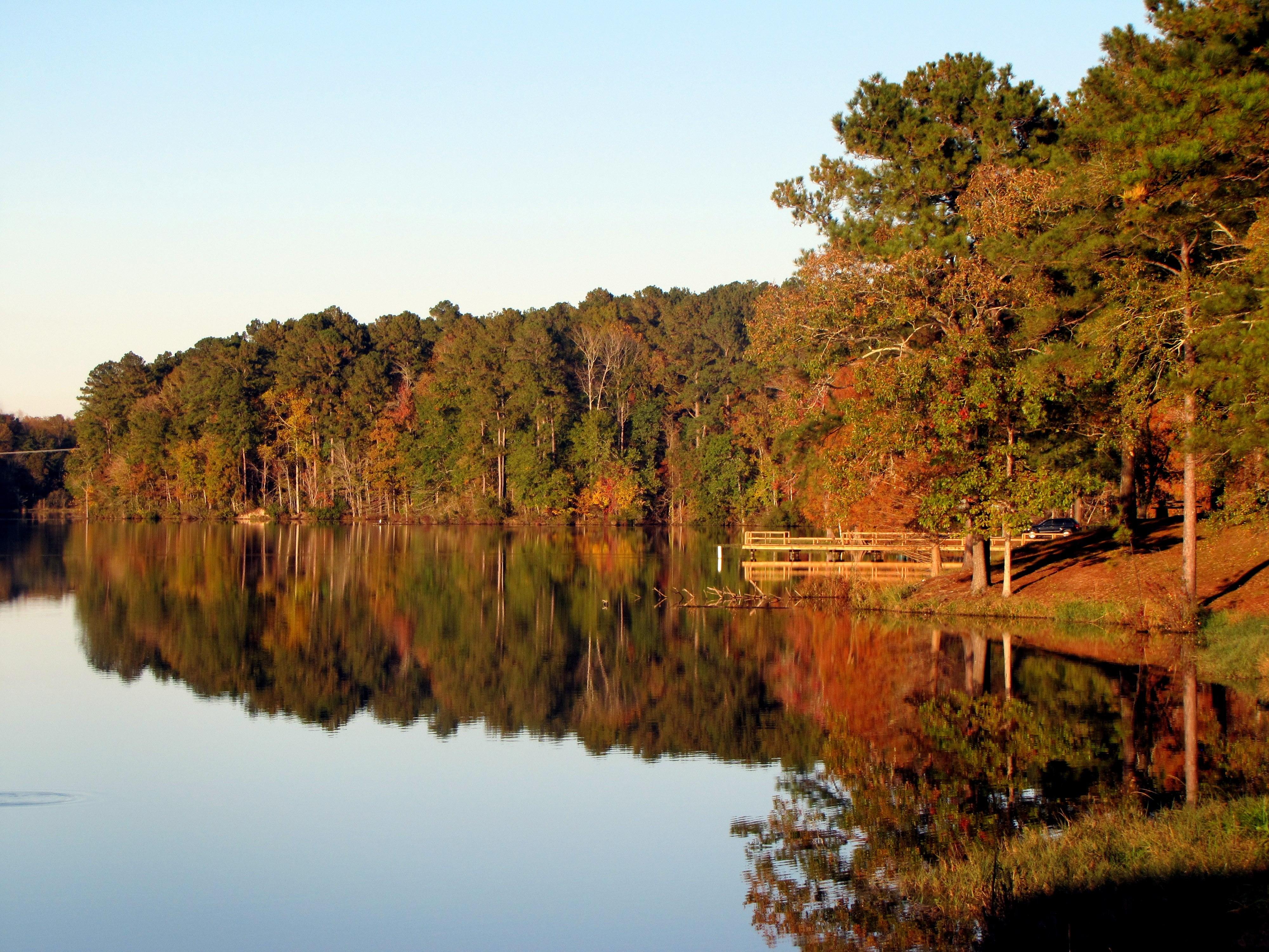 Lake, Trees, Autumn, Reflection wallpaper