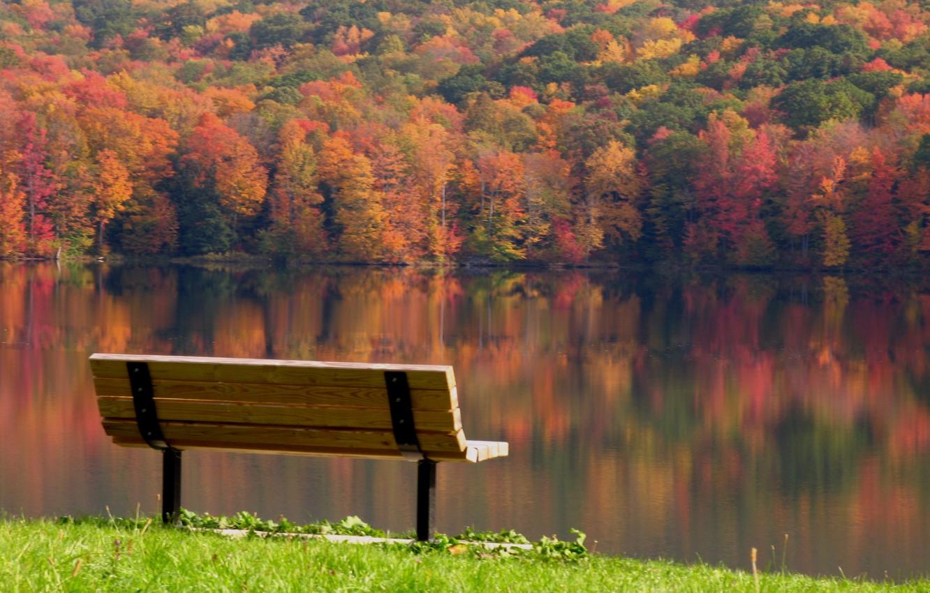 Wallpaper leaves, trees, landscape, bench, reflection, river