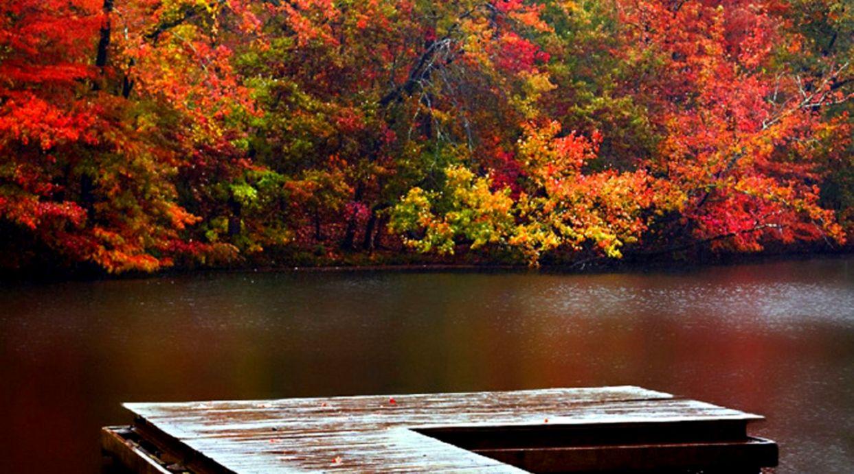 Nature Autumn Season Leaves Creative Photography Wallpaper