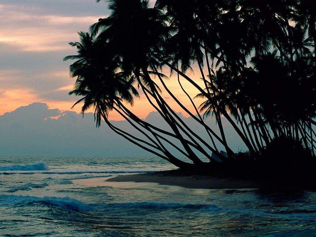 Desktop Wallpaper > Nature > Colombo, Vacation in SriLanka