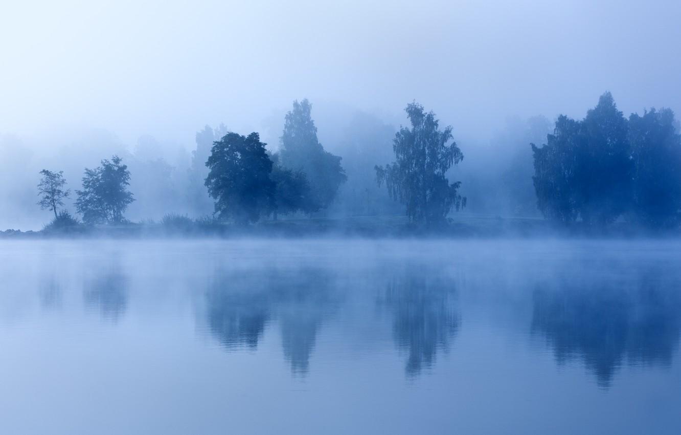 Wallpaper trees, fog, lake, morning, twilight image