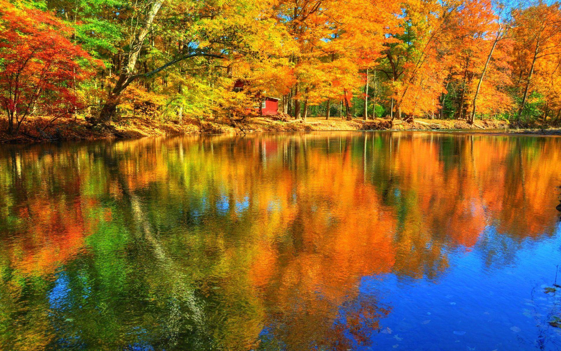 Autumn Leaves Reflection Wallpapers - Wallpaper Cave
