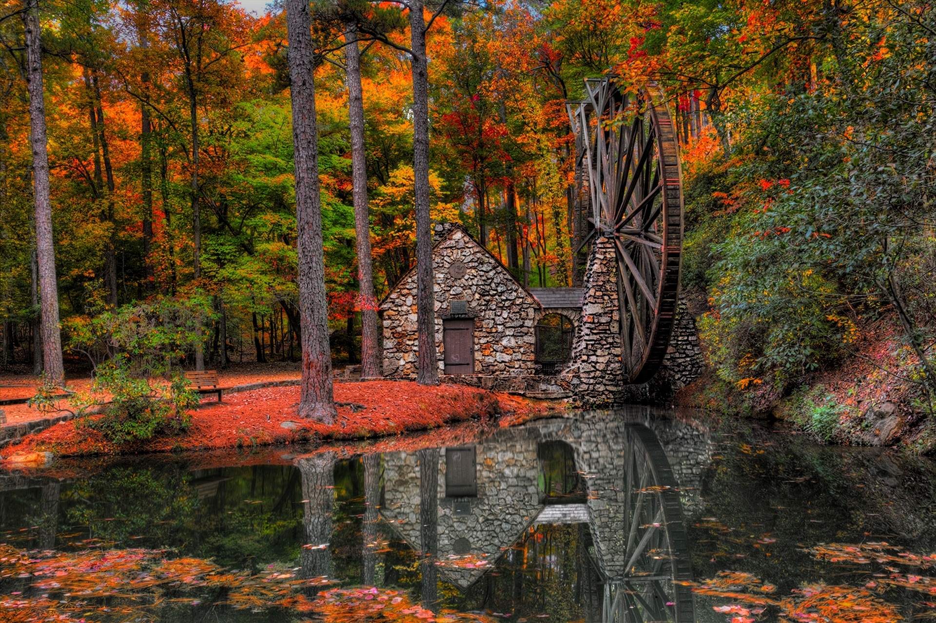autumn, Trees, Mill, Walk, Park, Alley, Water, Mill, Forest