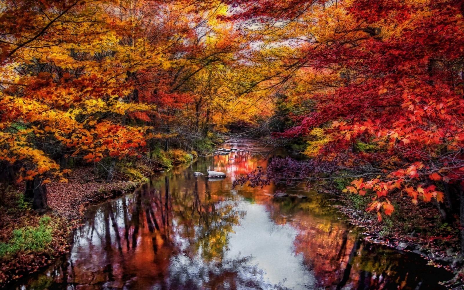 nature landscape river leaves colorful trees fall