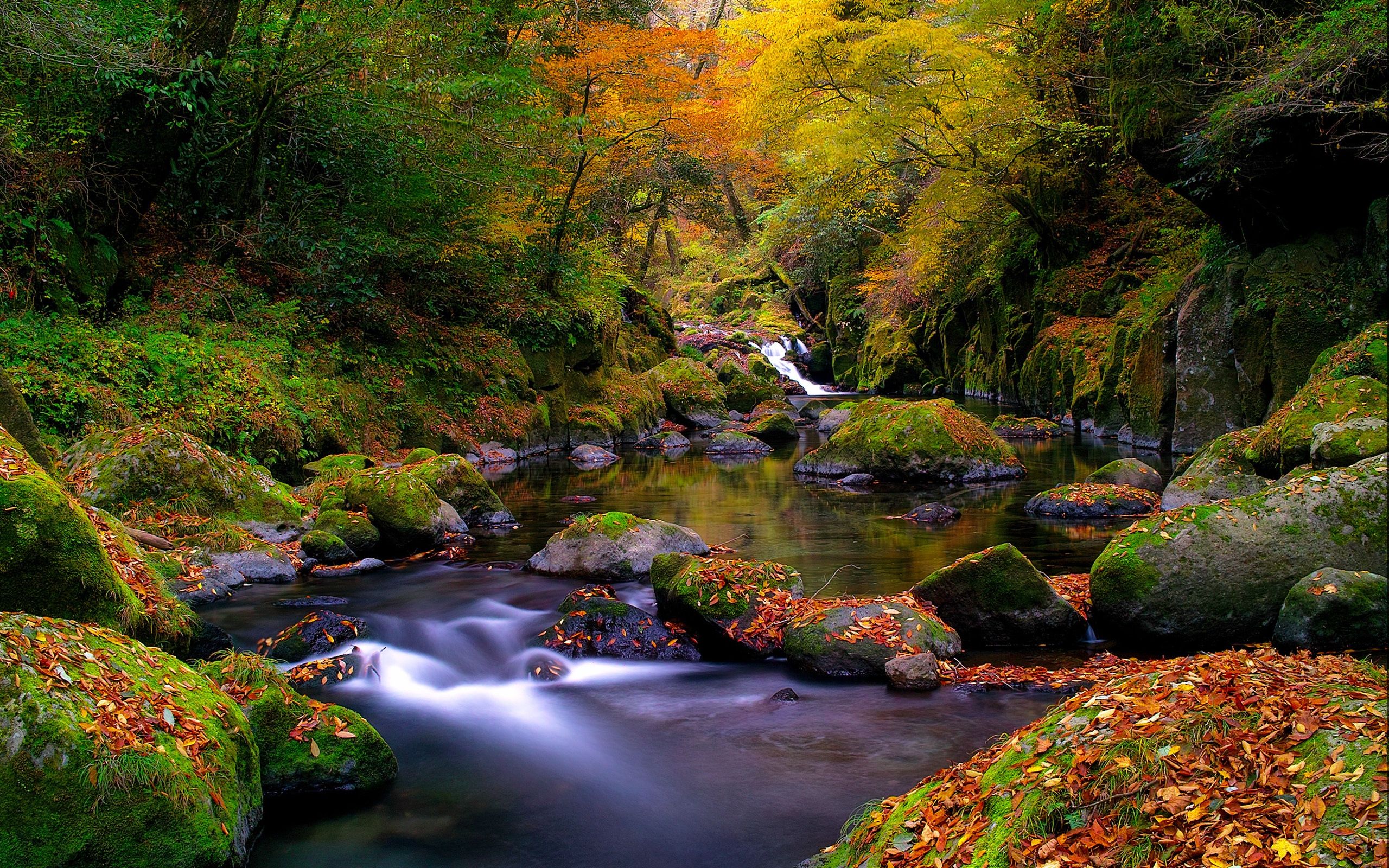 Autumn River Wallpaper