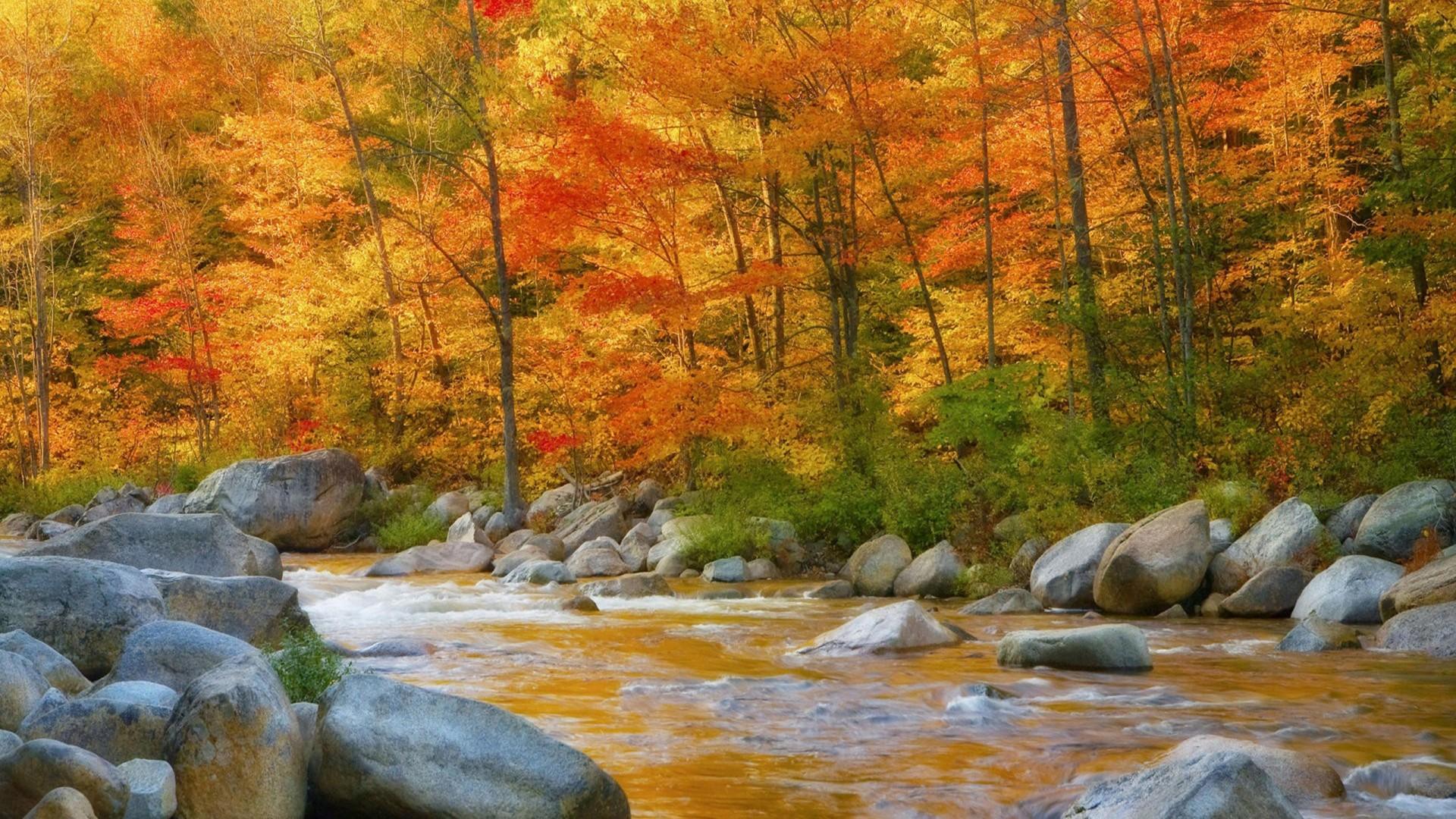 Nature Autumn River Desktop HD wallpaper Gallery