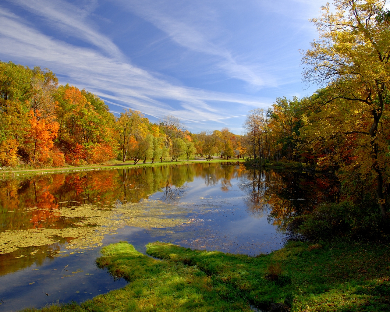 autumn landscape HD