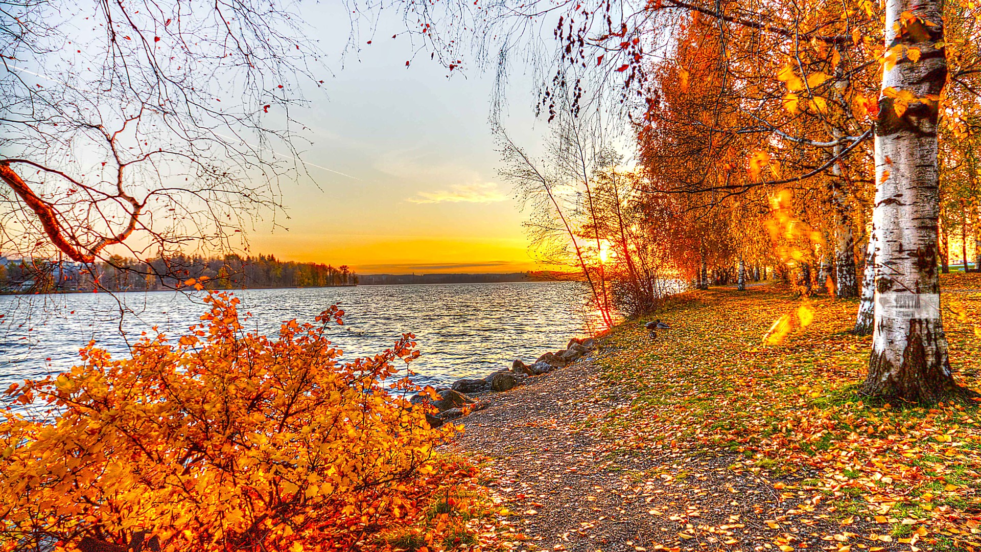 Amazing Autumn Landscape wallpaperx1080