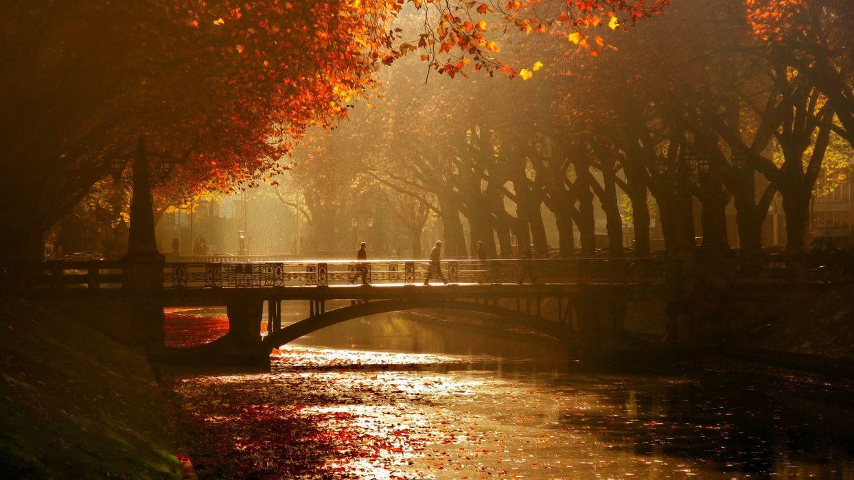Autumn tree leaves beauty nature landscape bridge peoples