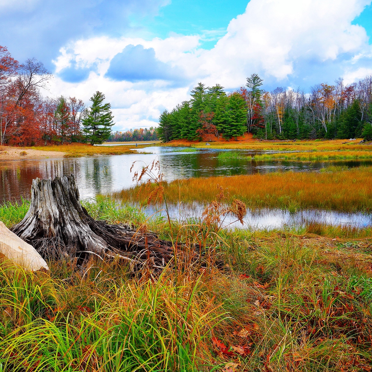 Download wallpaper 1280x1280 autumn, landscape, grass, river