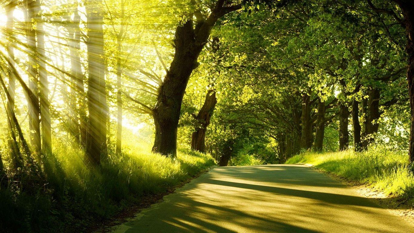Image for Nature Sunshine Background Wallpaper. Background