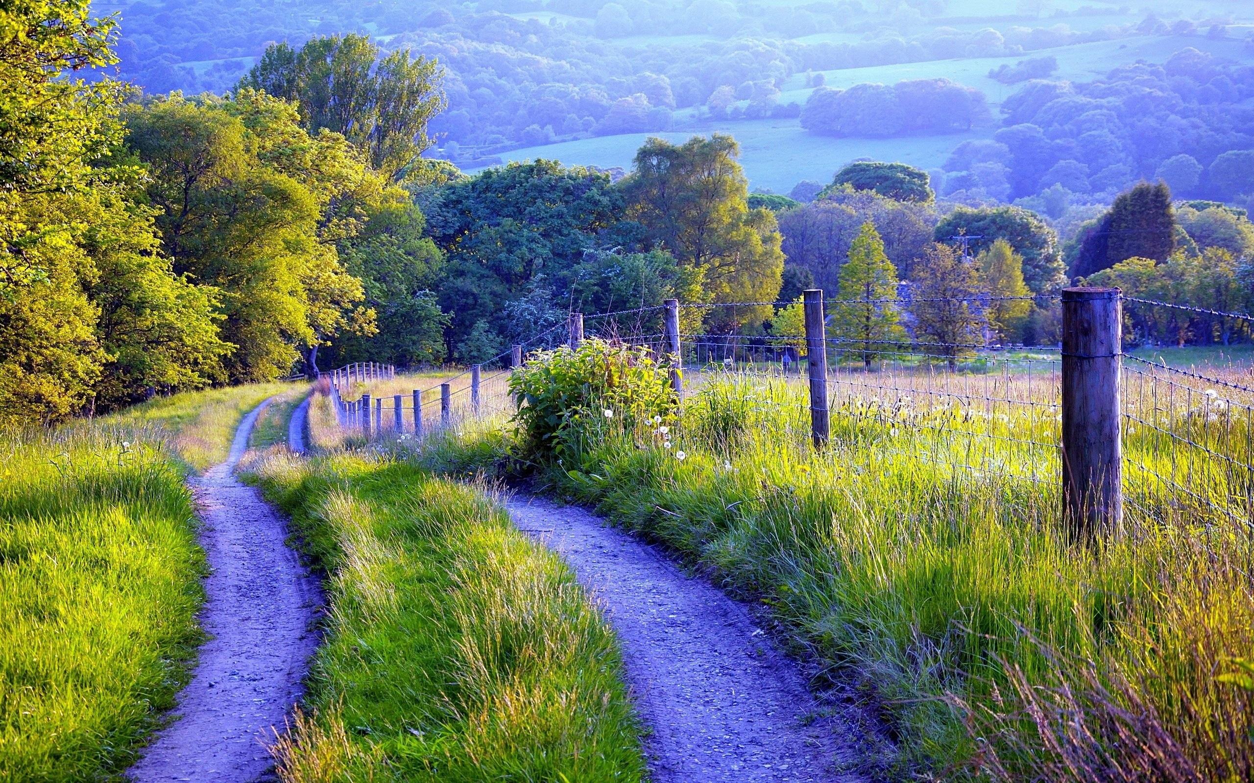 Countryside walks. Шварцвальд тропа. Сассекс Англия природа. Поля Нормандии. Природа деревня.