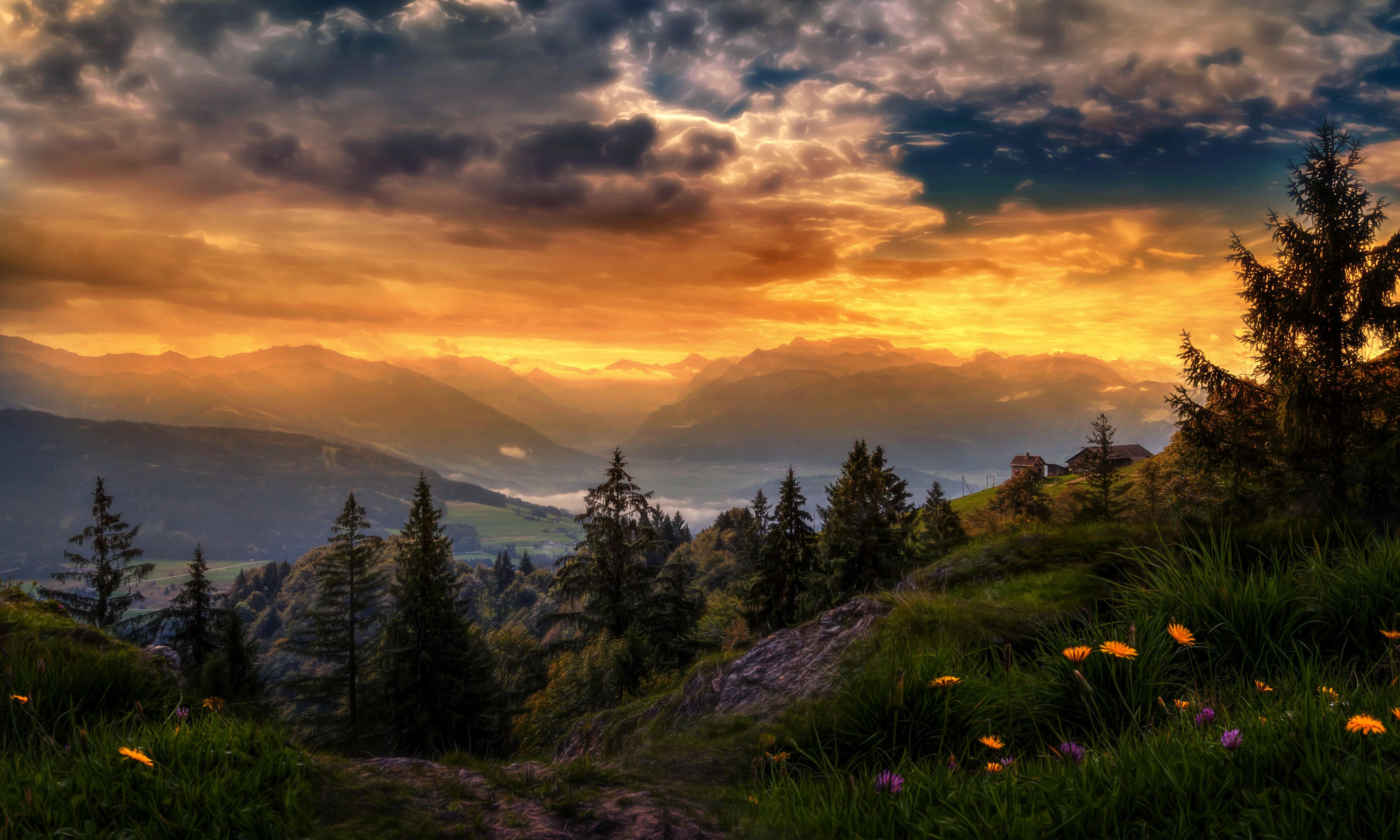 Sunshine, Switzerland, Light, Flower, Valley, Glow