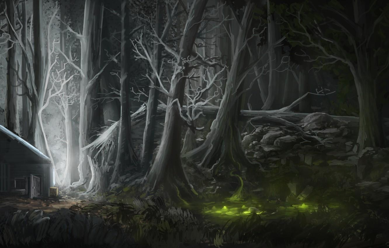 Wallpaper forest, light, night, house, figure, swamp image