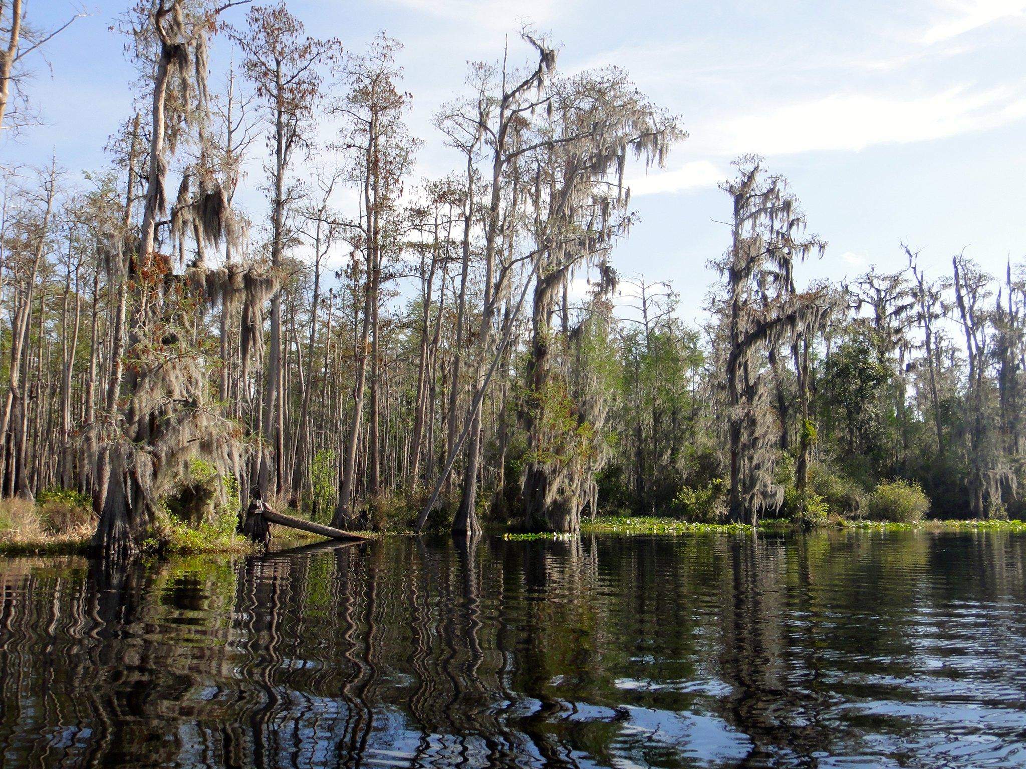 Proposal to mine near Okefenokee Swamp raises old fears