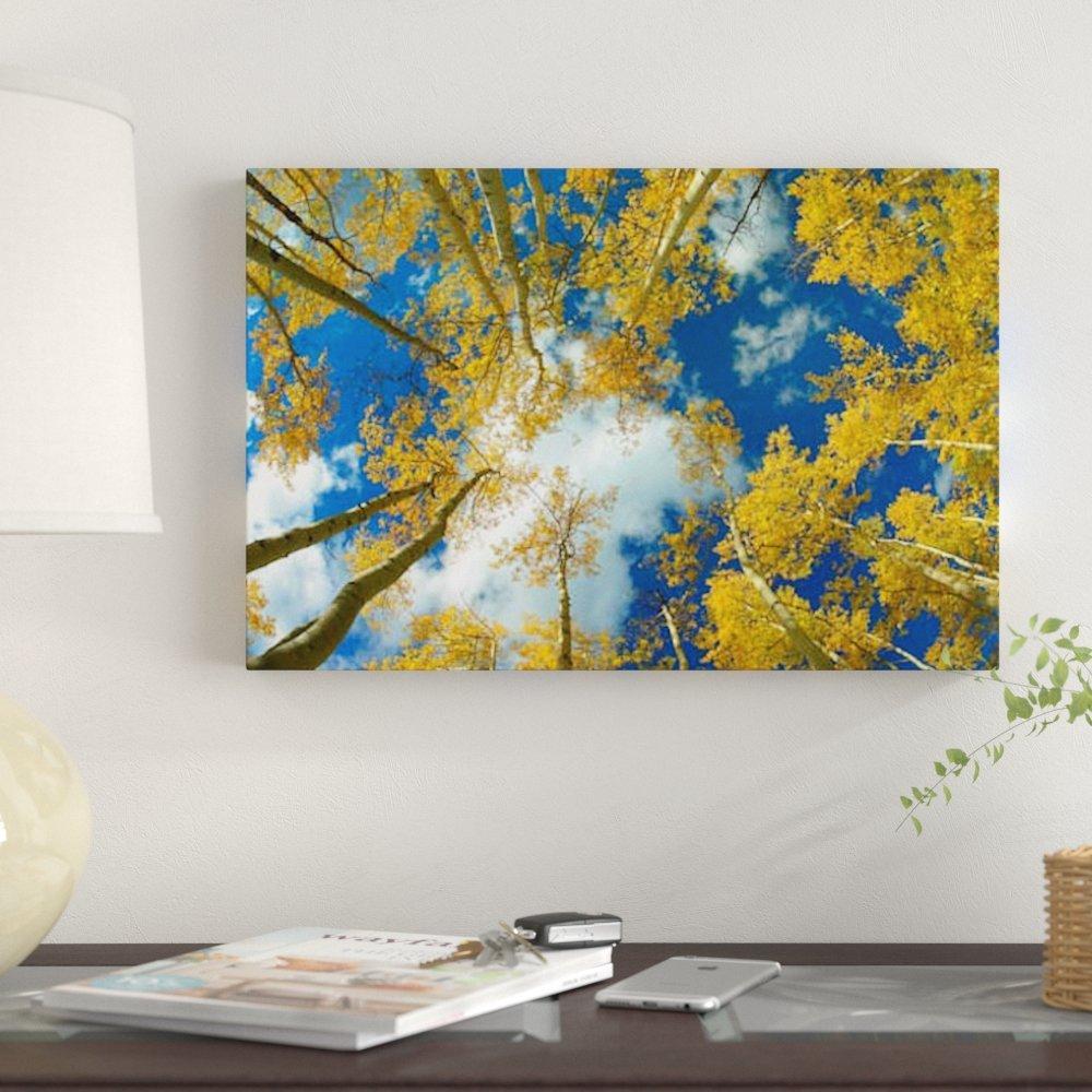 'Looking Up at Blue Sky Through a Canopy of Fall Colored Aspen Trees, Colorado' Photographic Print on Canvas